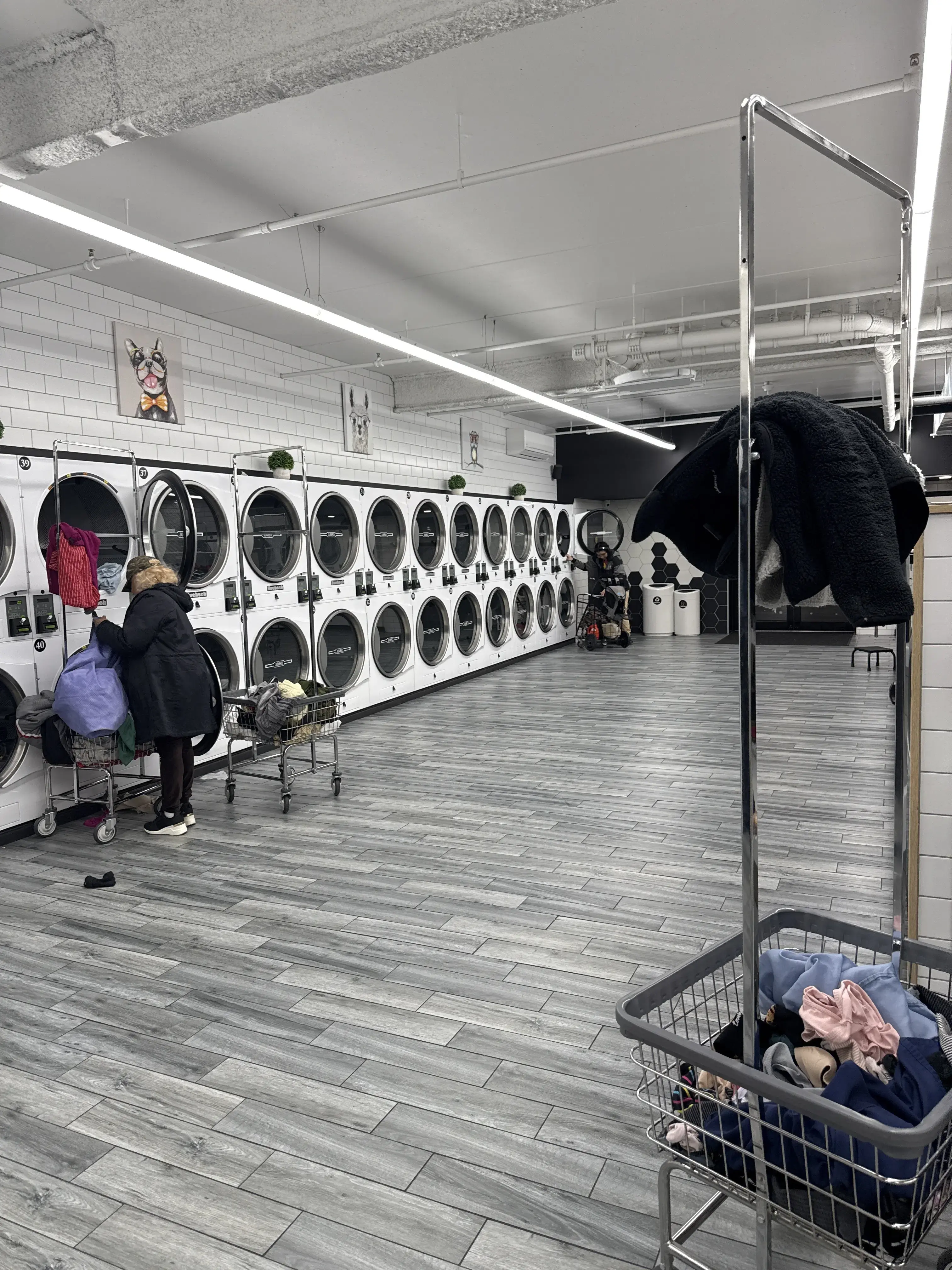 Laundrybee - Bronx - Image 10