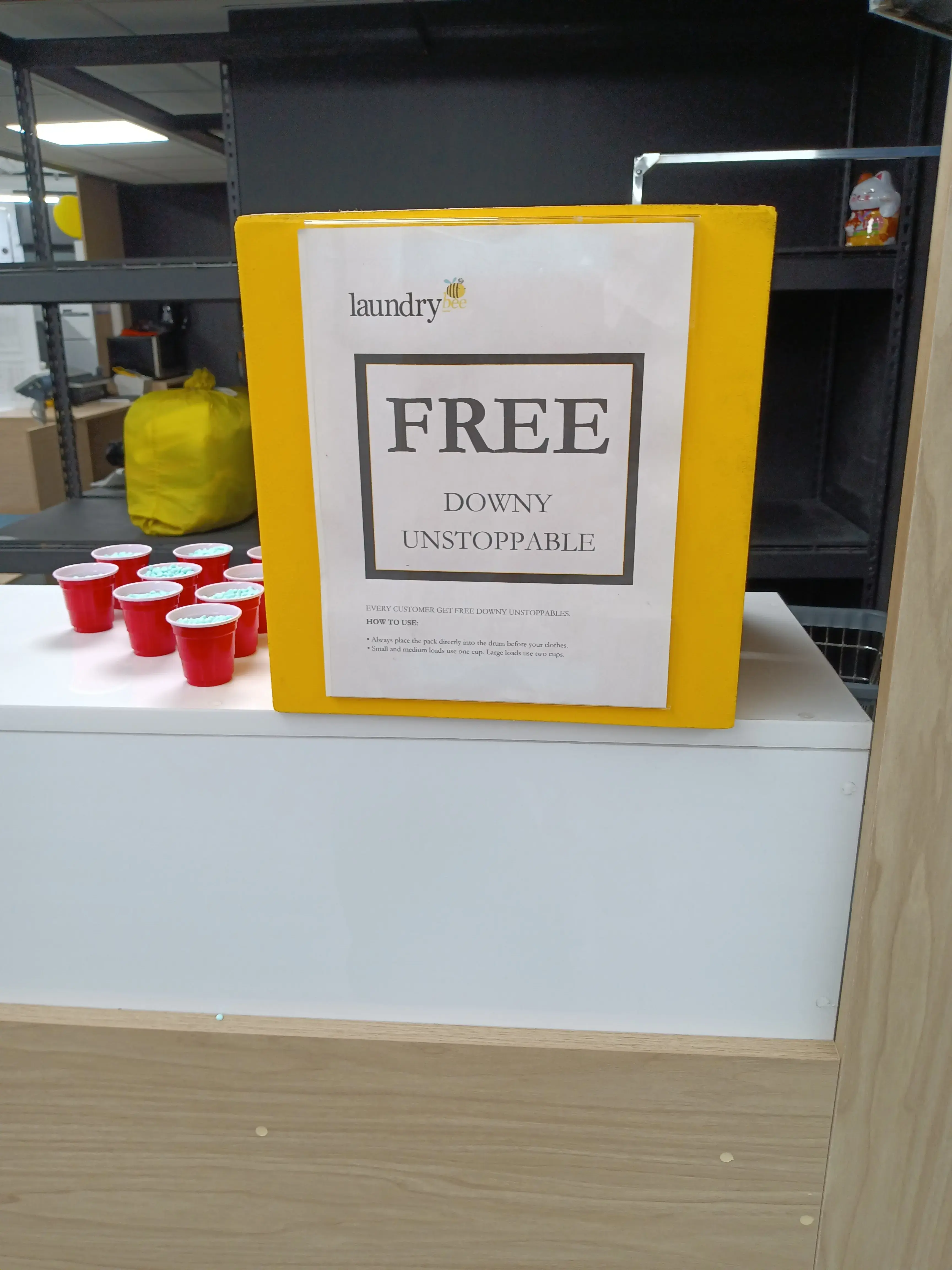 Laundrybee - Bronx - Image 14