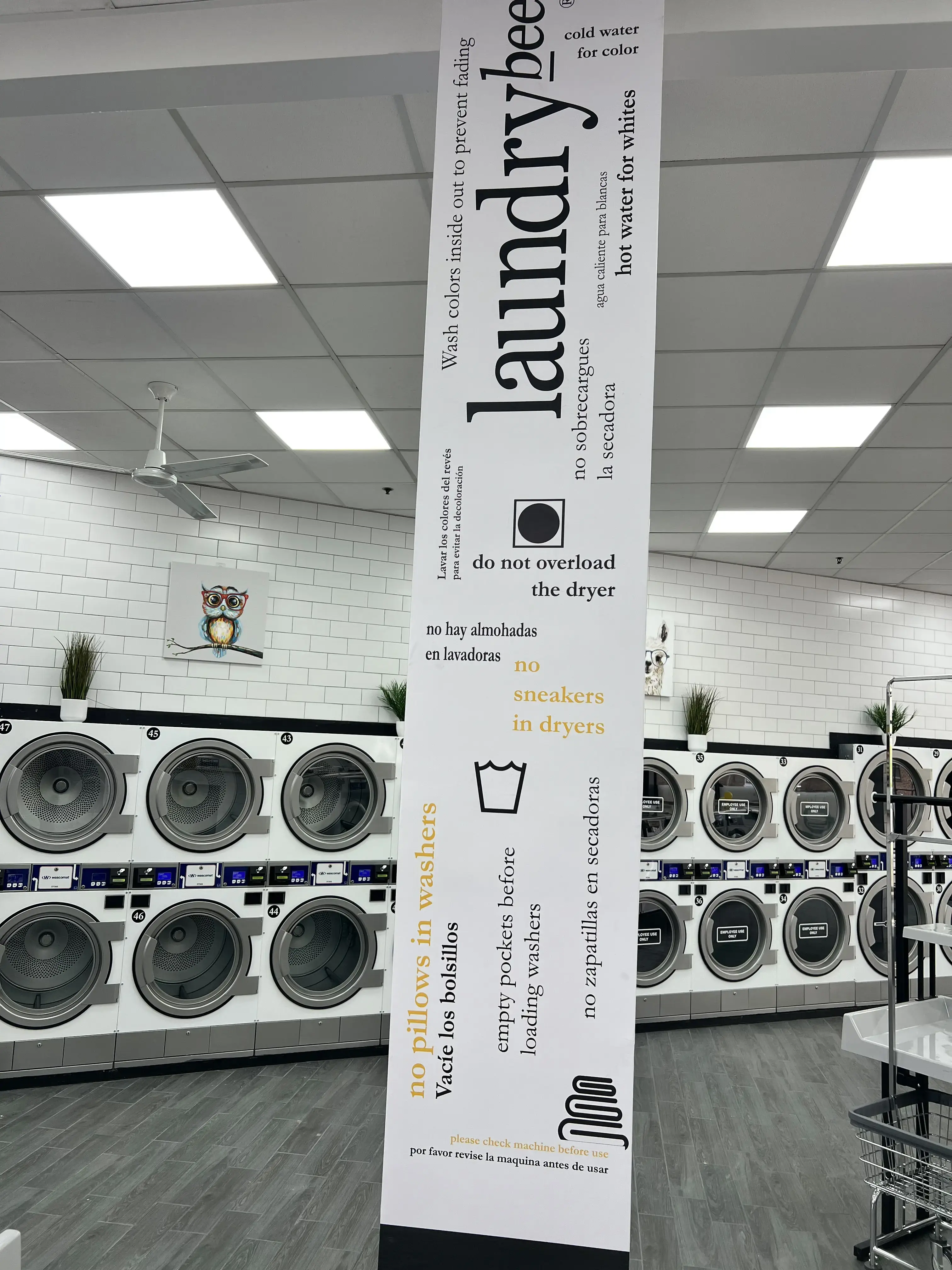 Laundrybee - Far Rockaway thumbnail 16