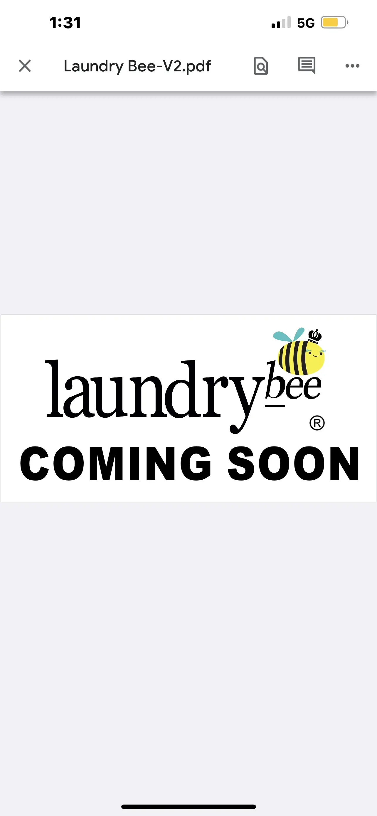 Laundrybee - Far Rockaway thumbnail 20