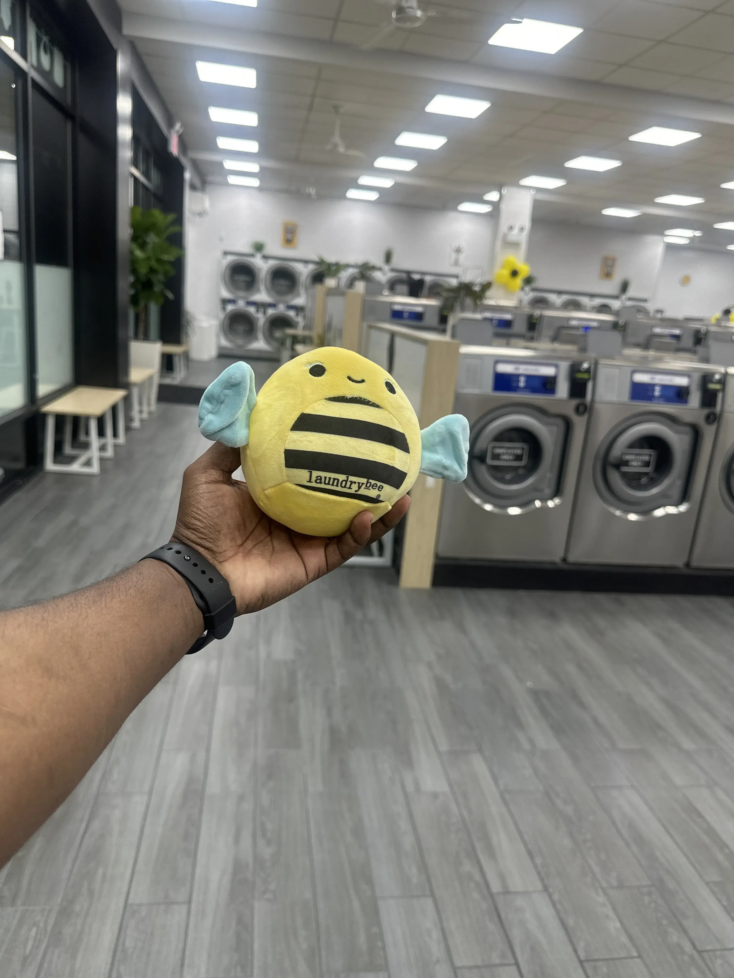 Laundrybee - Far Rockaway thumbnail 8