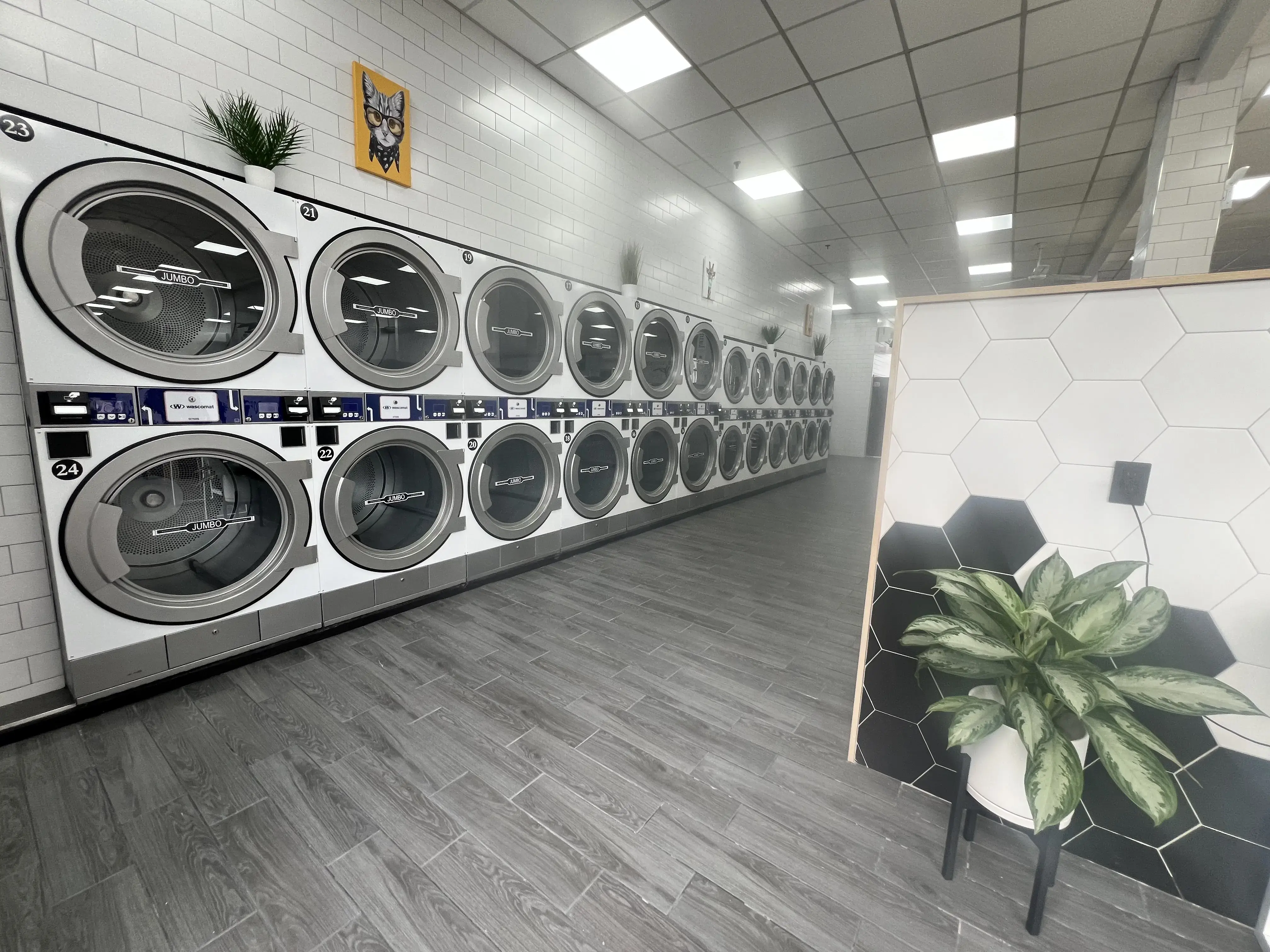 Laundrybee - Far Rockaway thumbnail 2