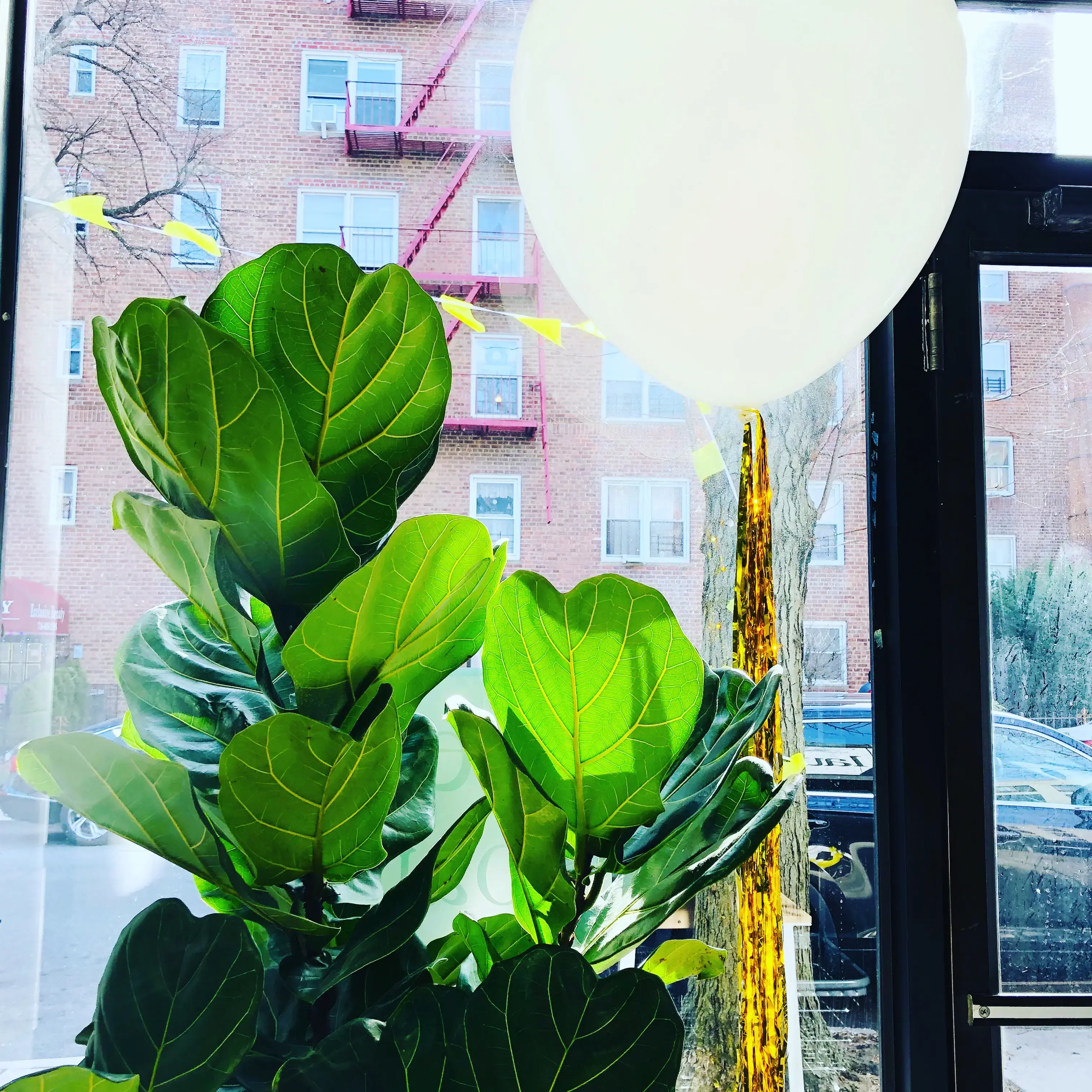 LaundryBee - Forest Hills thumbnail 12