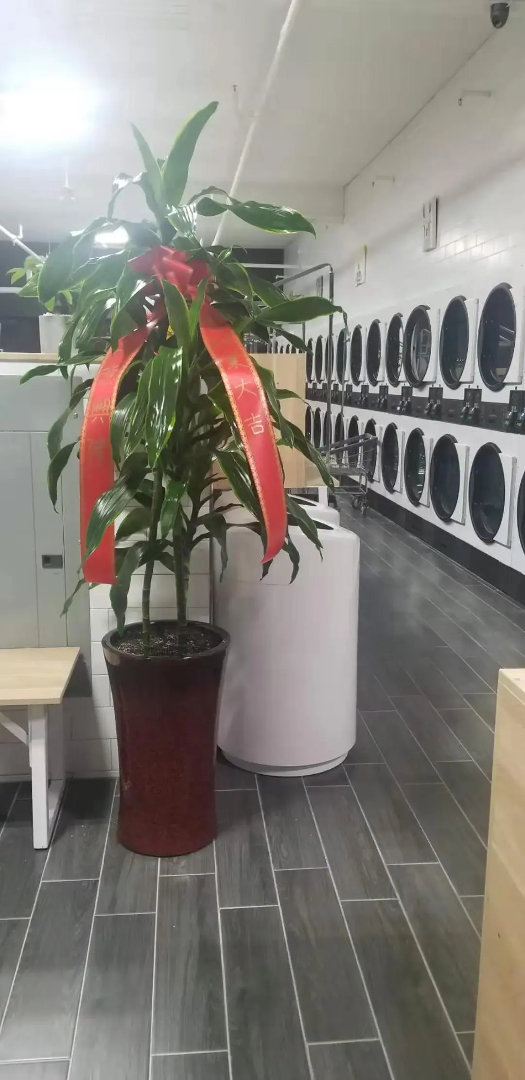 LaundryBee - Forest Hills - Image 20