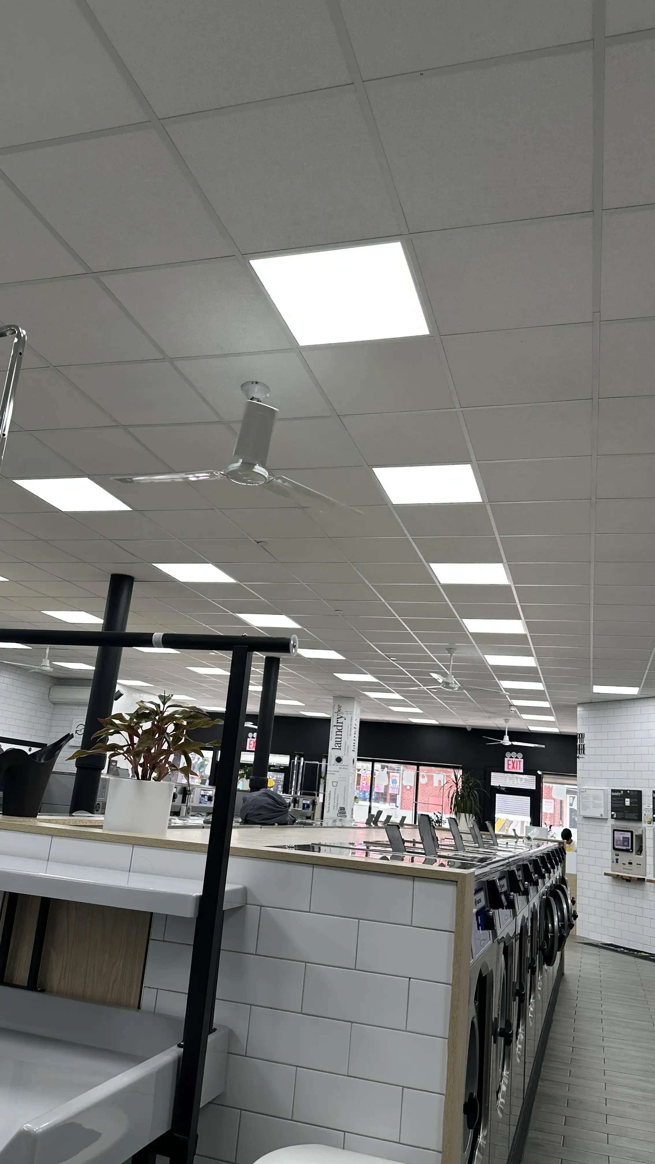 Laundrybee - Greenpoint - Image 15