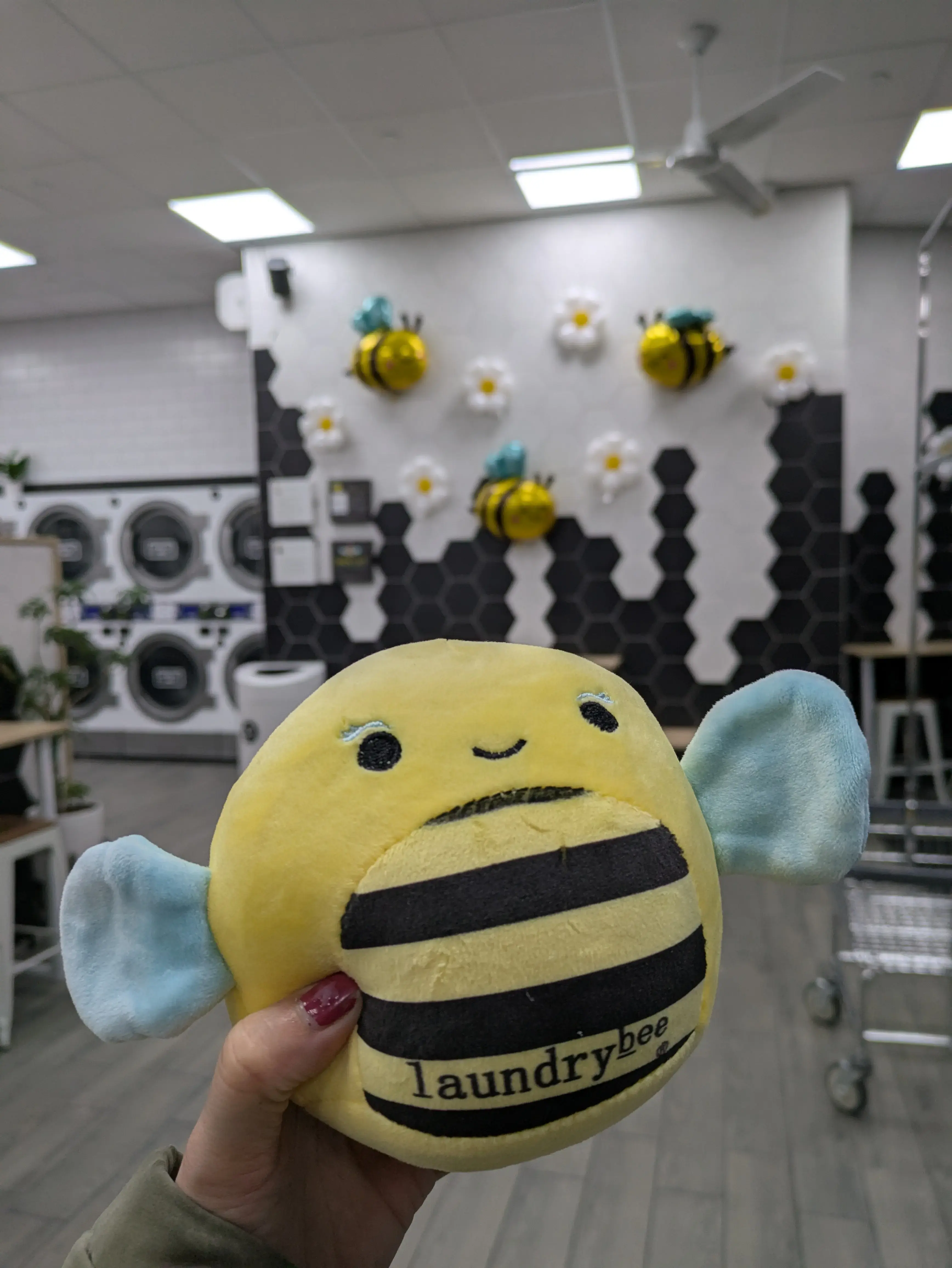 Laundrybee - Greenpoint - Image 9