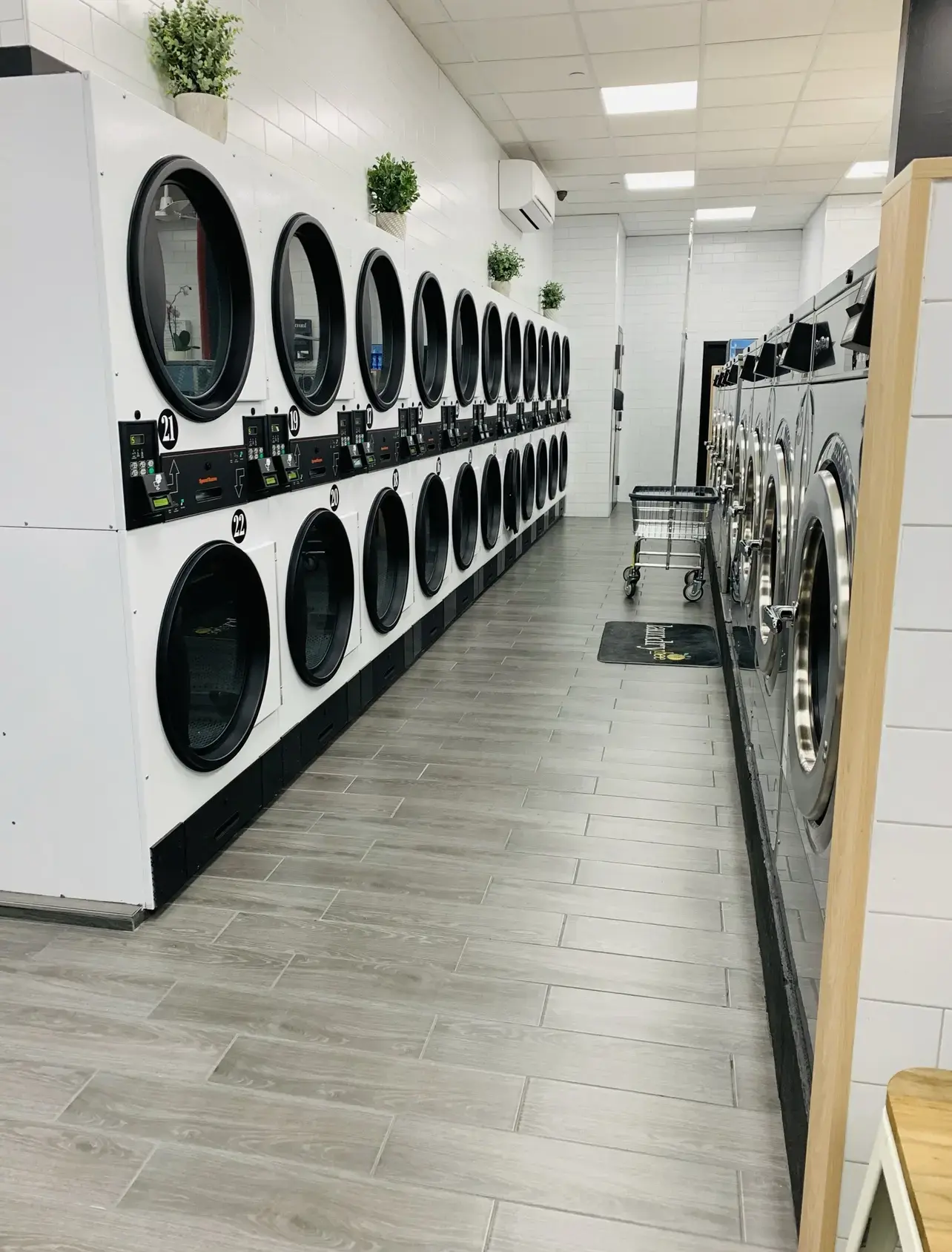 Laundrybee - Jackson Heights thumbnail 4