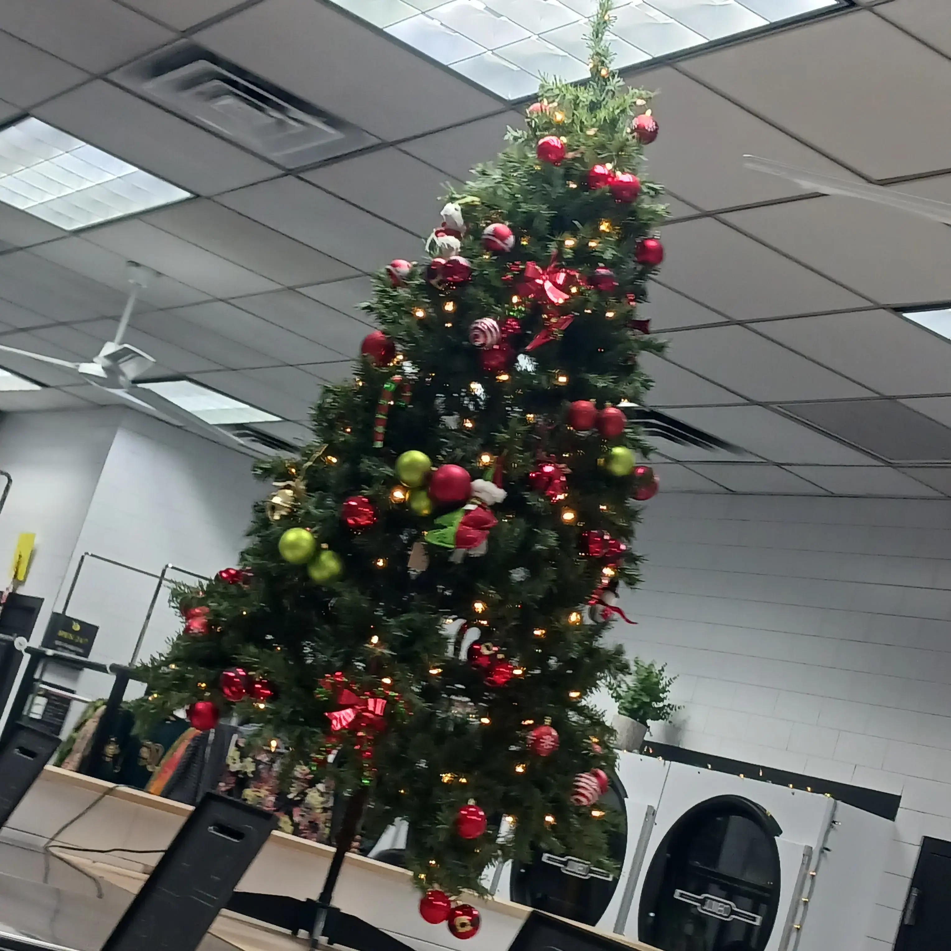 Laundrybee - Kew Gardens Hills thumbnail 10