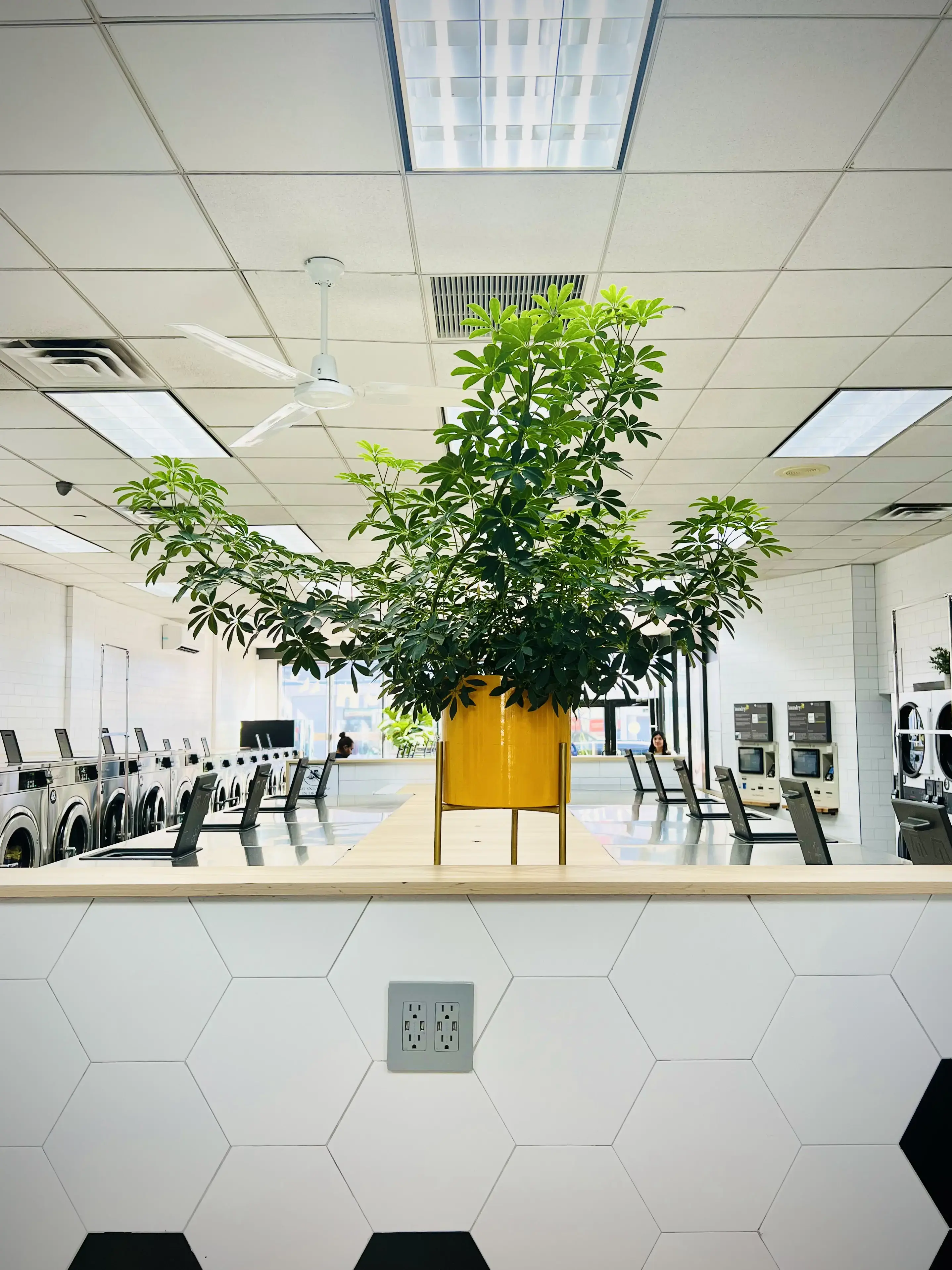 Laundrybee - Kew Gardens Hills - Image 5