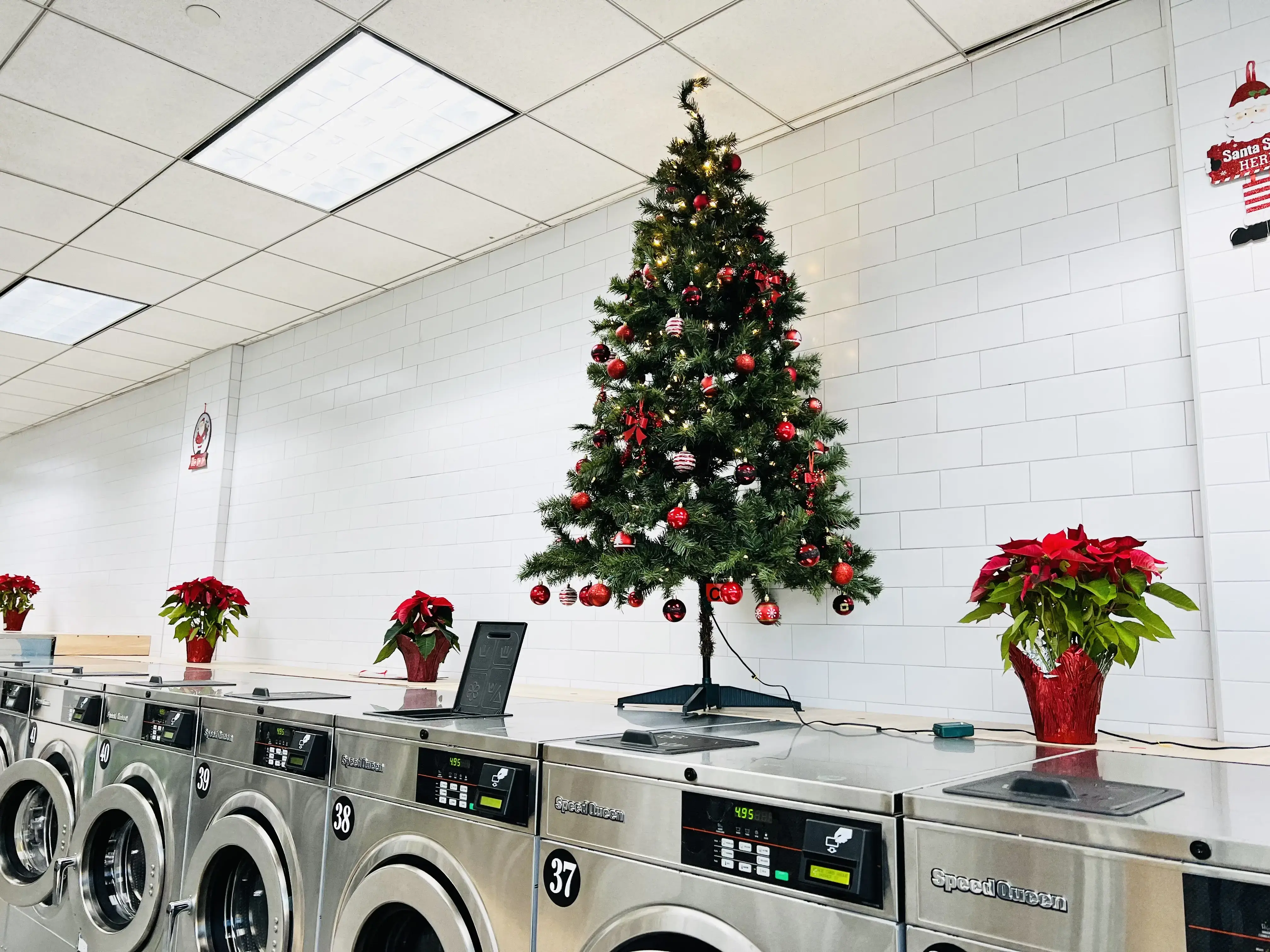 Laundrybee - Kew Gardens Hills thumbnail 17