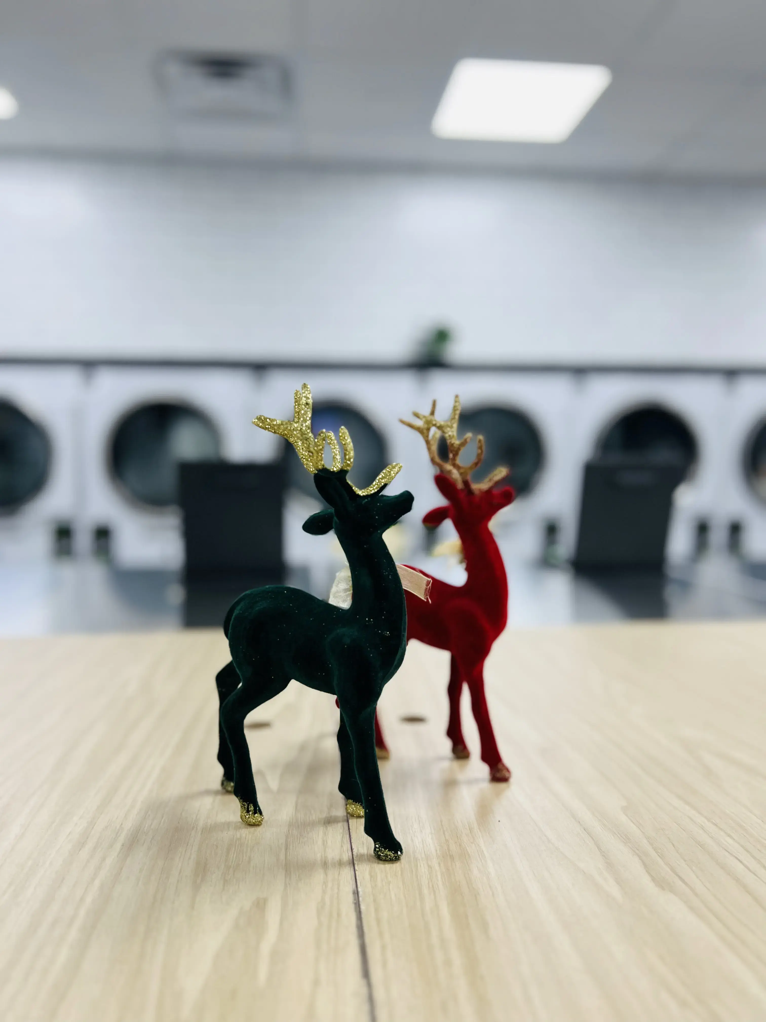 Laundrybee - Maspeth thumbnail 17