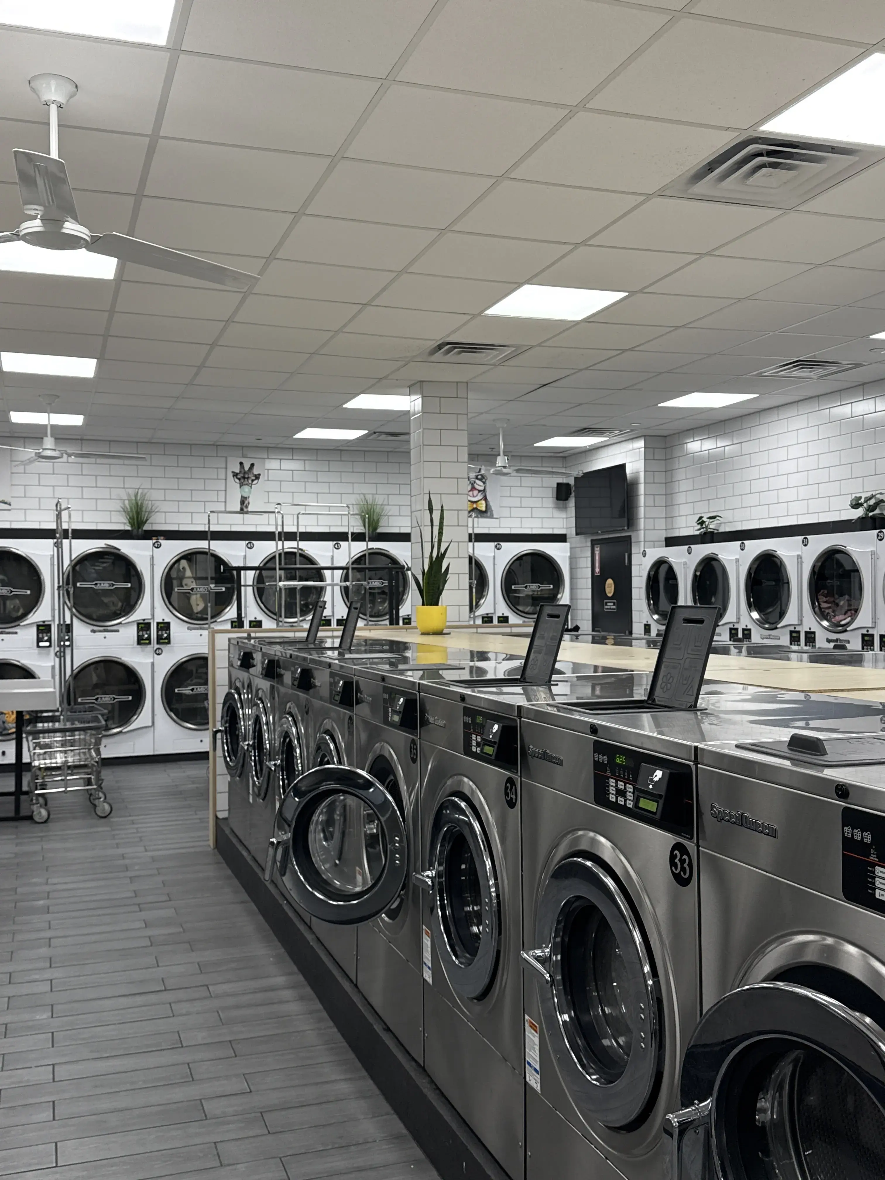 Laundrybee - Oakland Gardens - Image 10