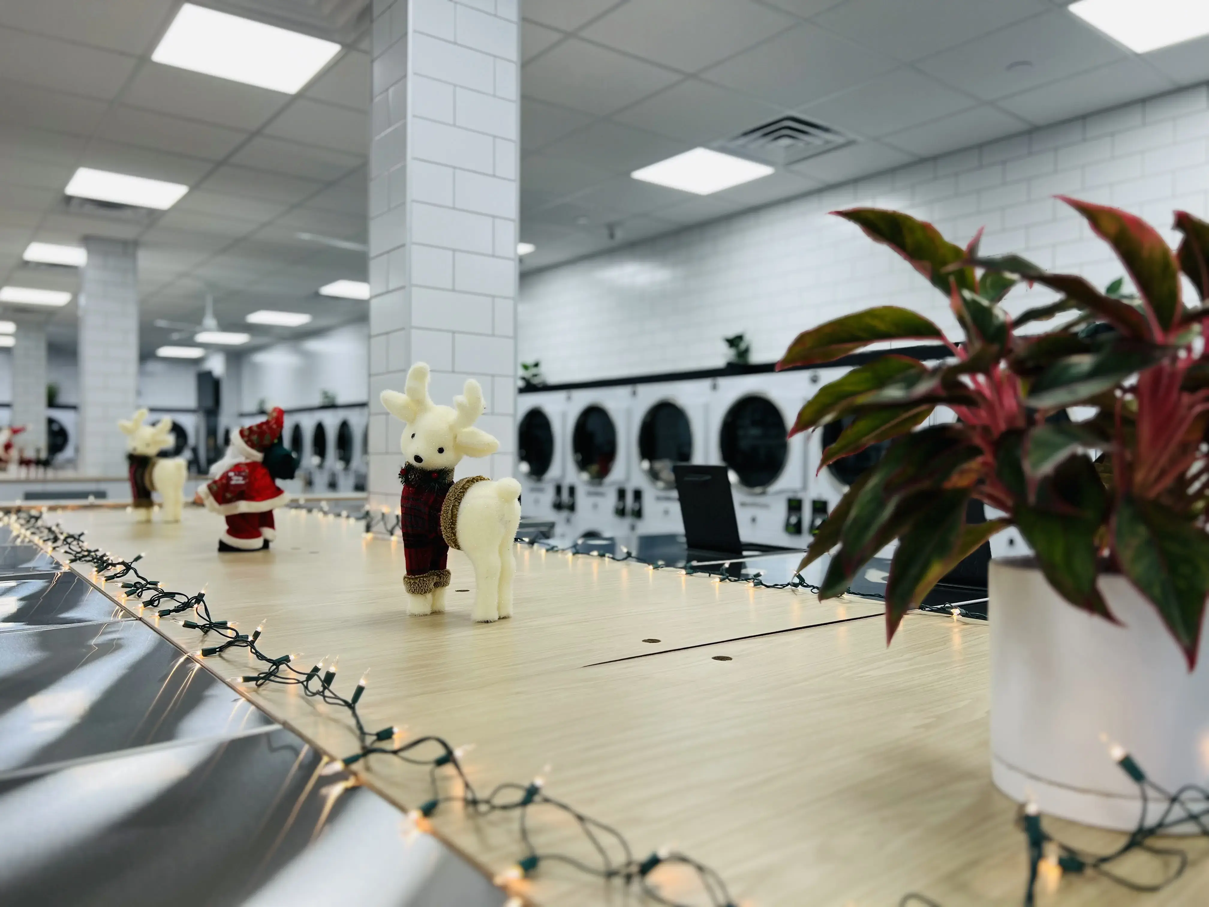 Laundrybee - Oakland Gardens - Image 5