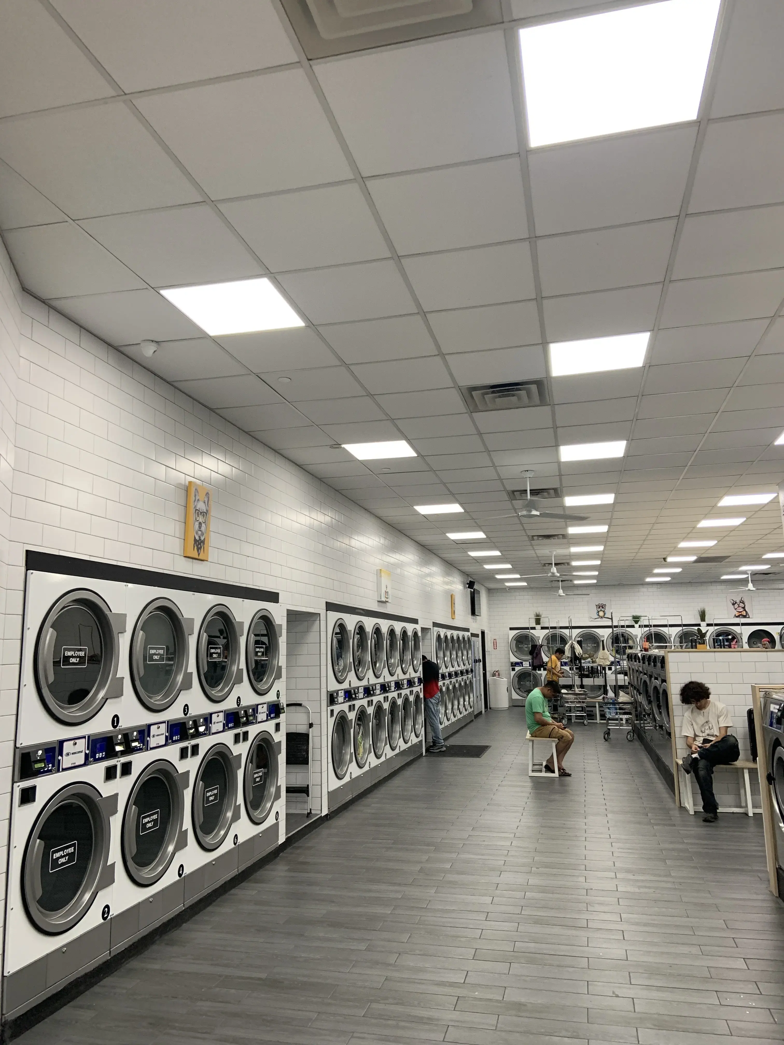 Laundrybee - Ridgewood thumbnail 5