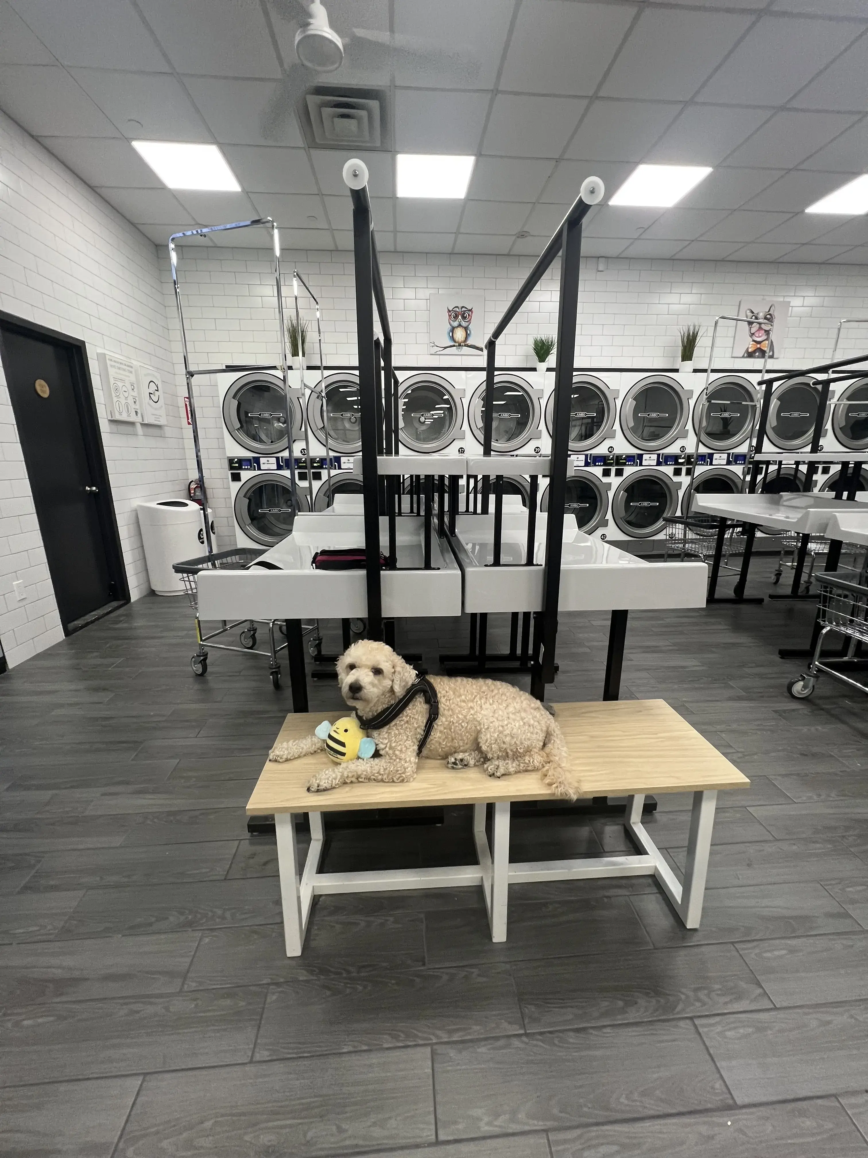 Laundrybee - Ridgewood location