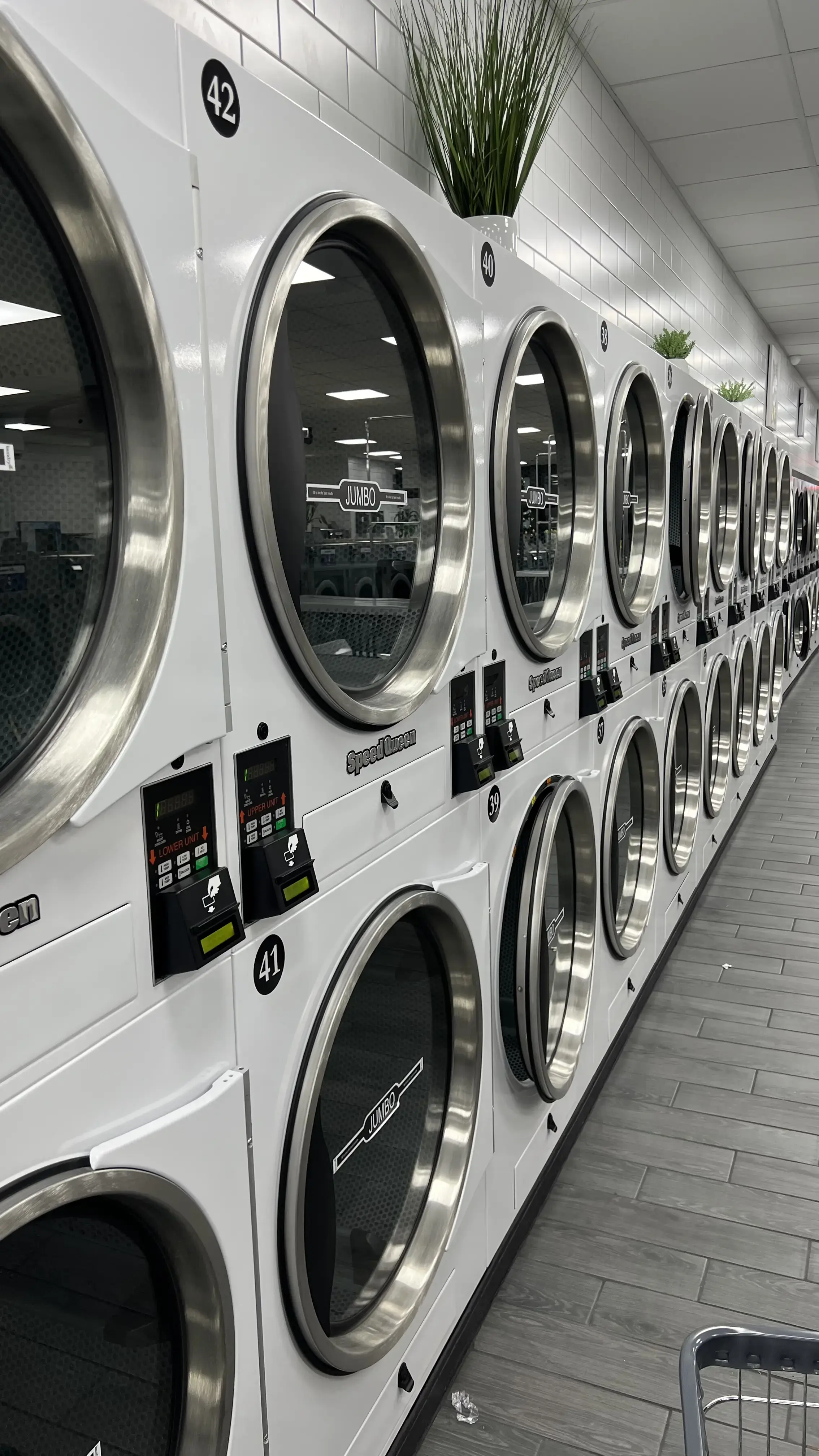 Laundrybee - Sunnyside thumbnail 16