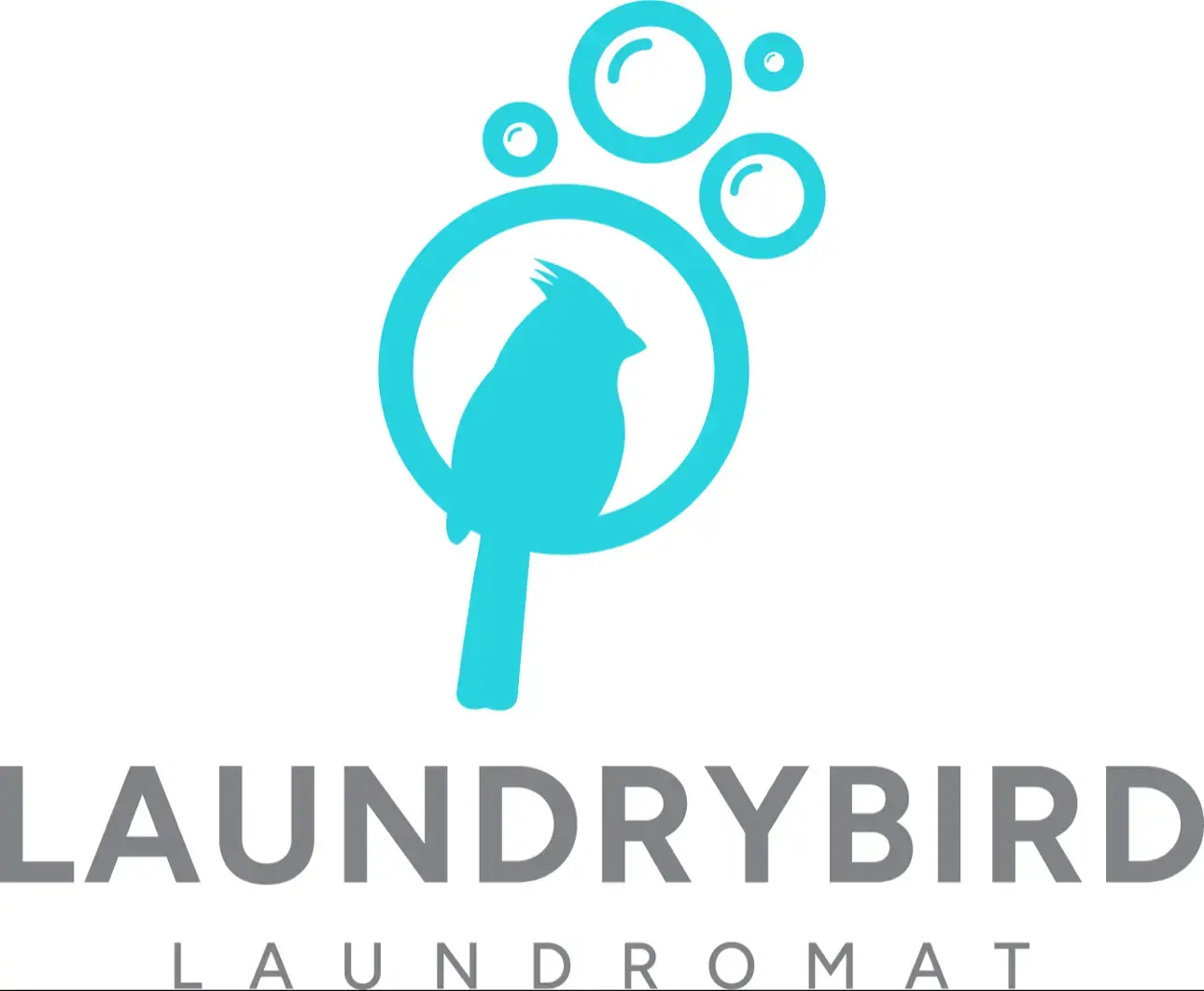 Laundrybird Laundromat thumbnail 9