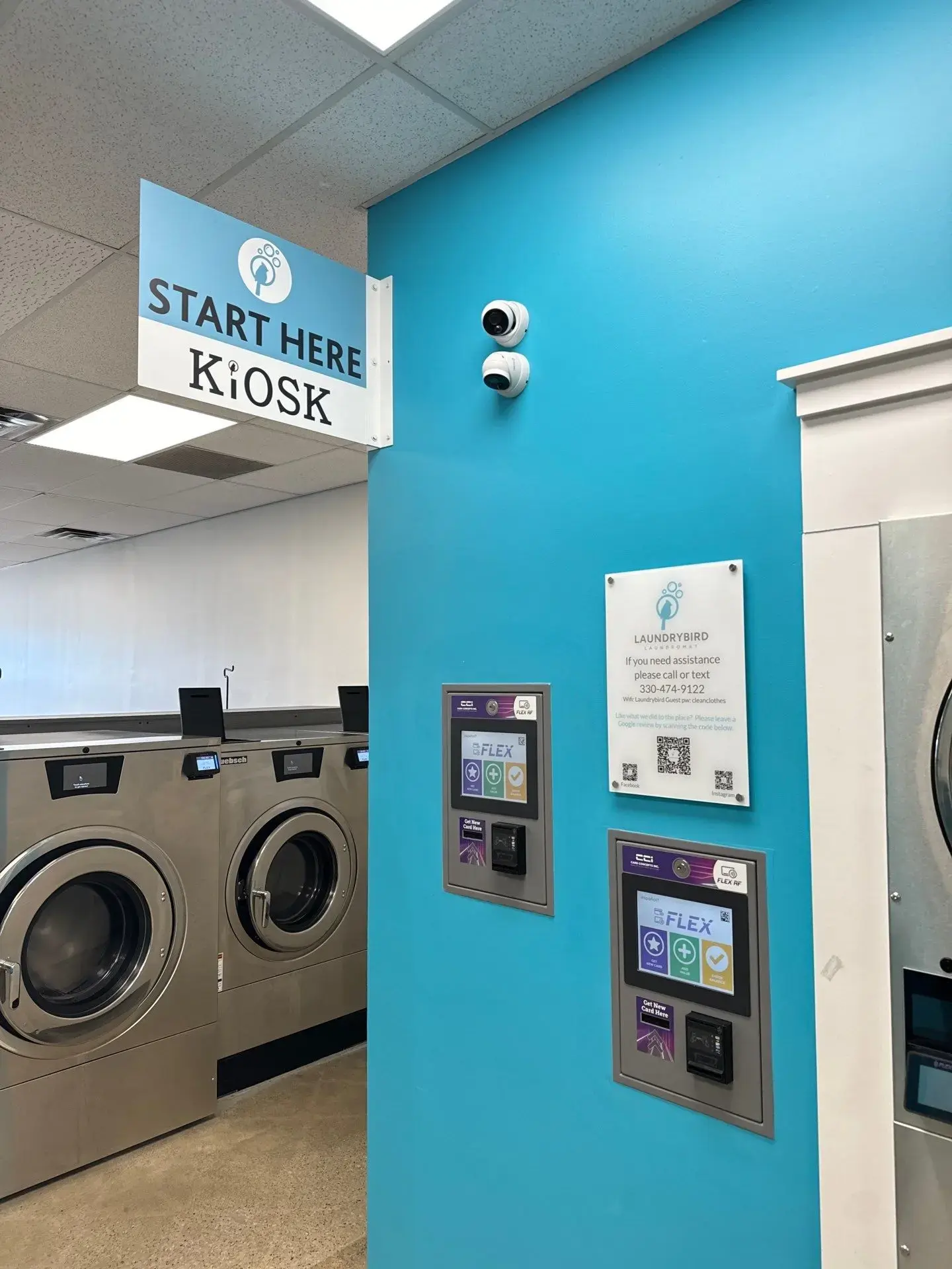 Laundrybird Laundromat thumbnail 12