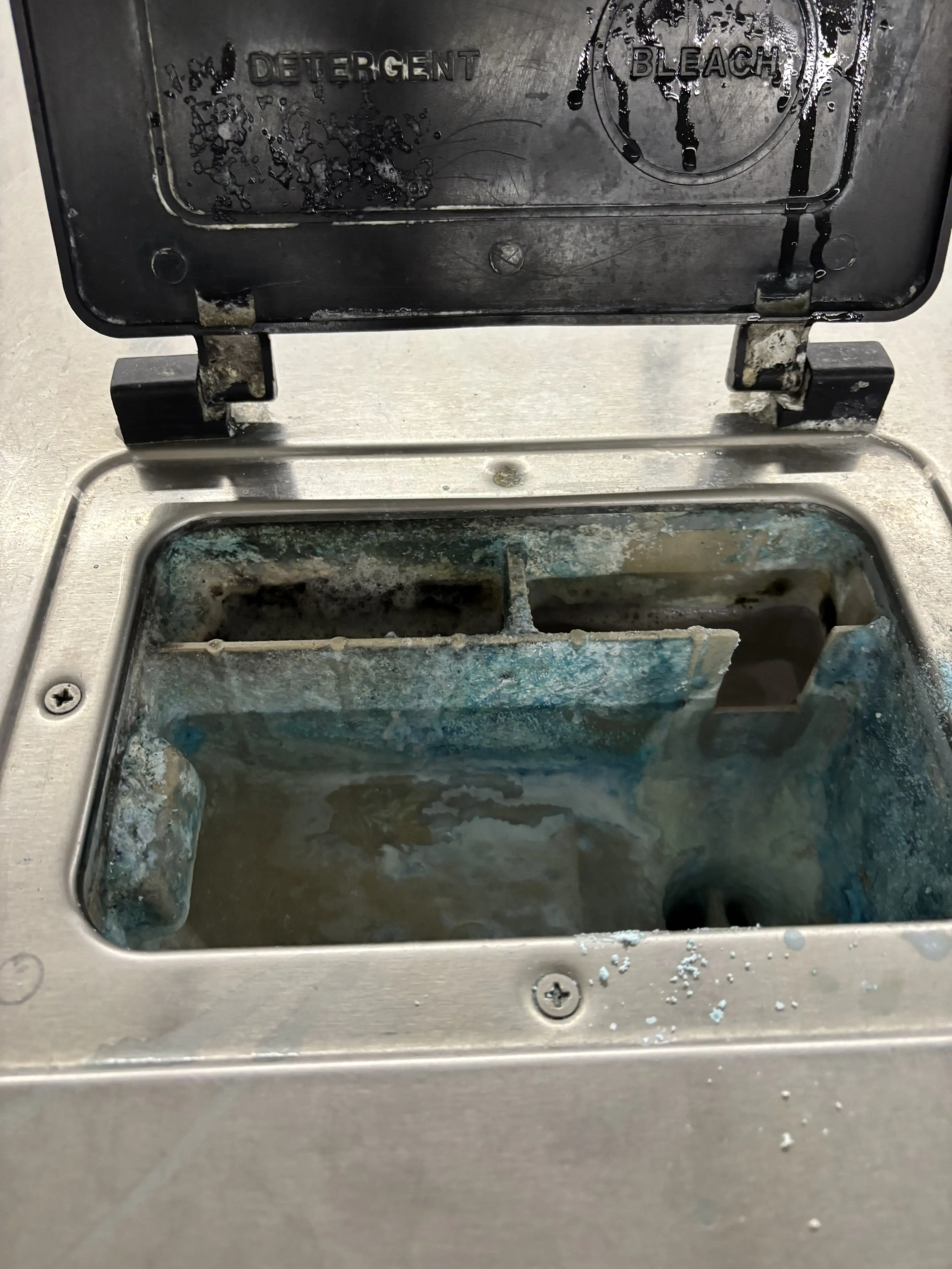 Laundryday - Image 6