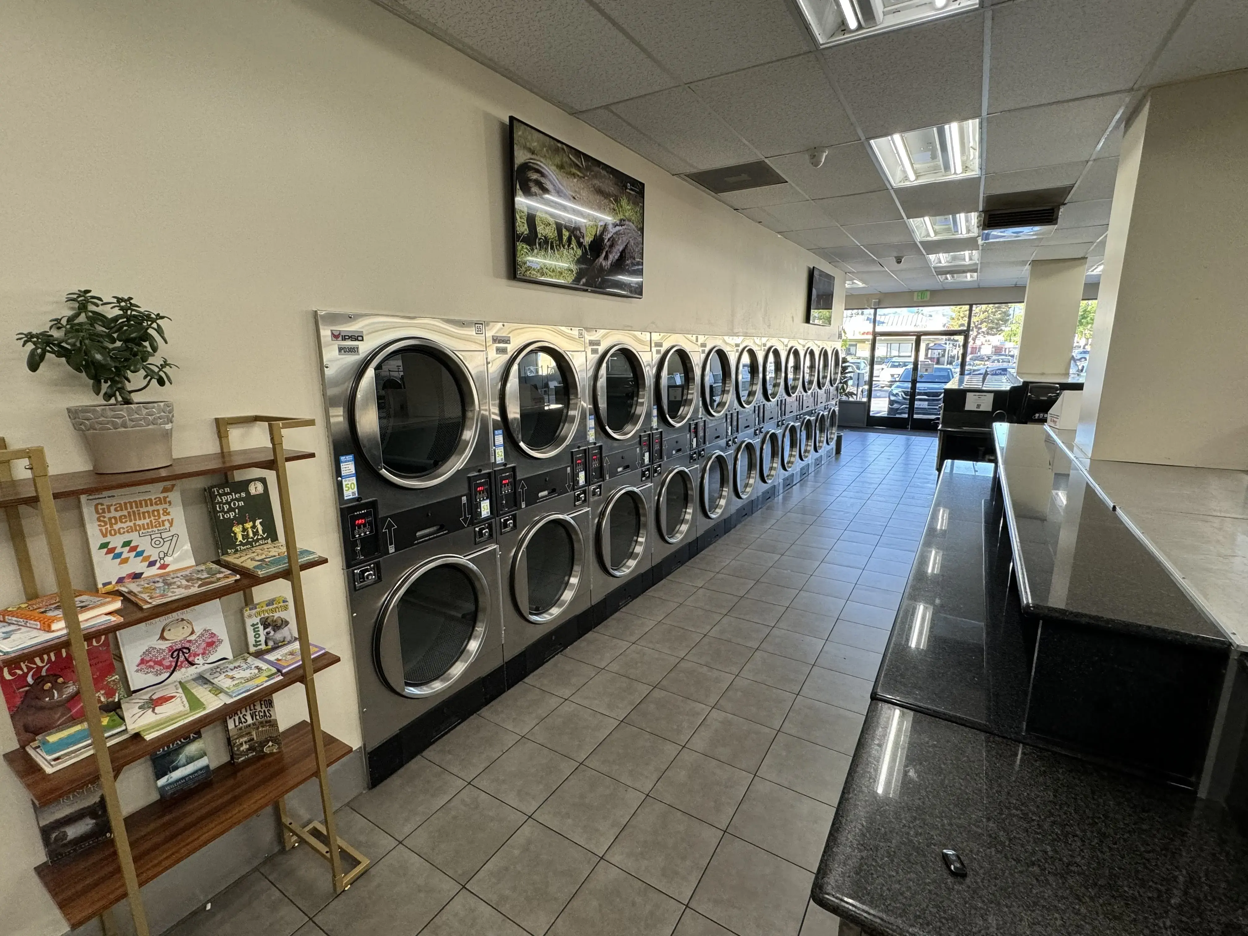 LaundryMax thumbnail 5