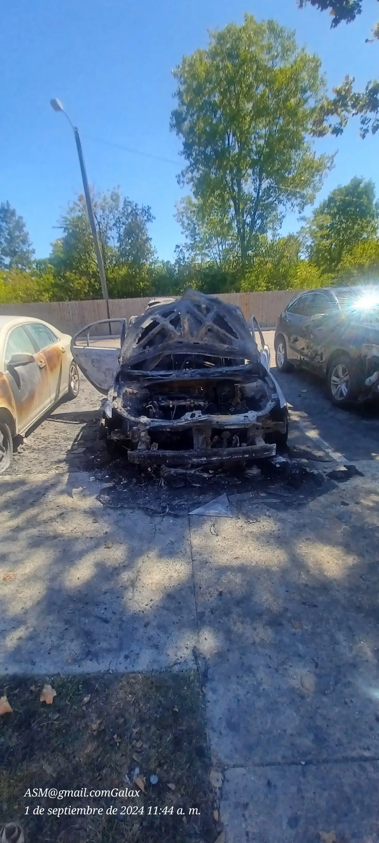 LaundryMax thumbnail 4