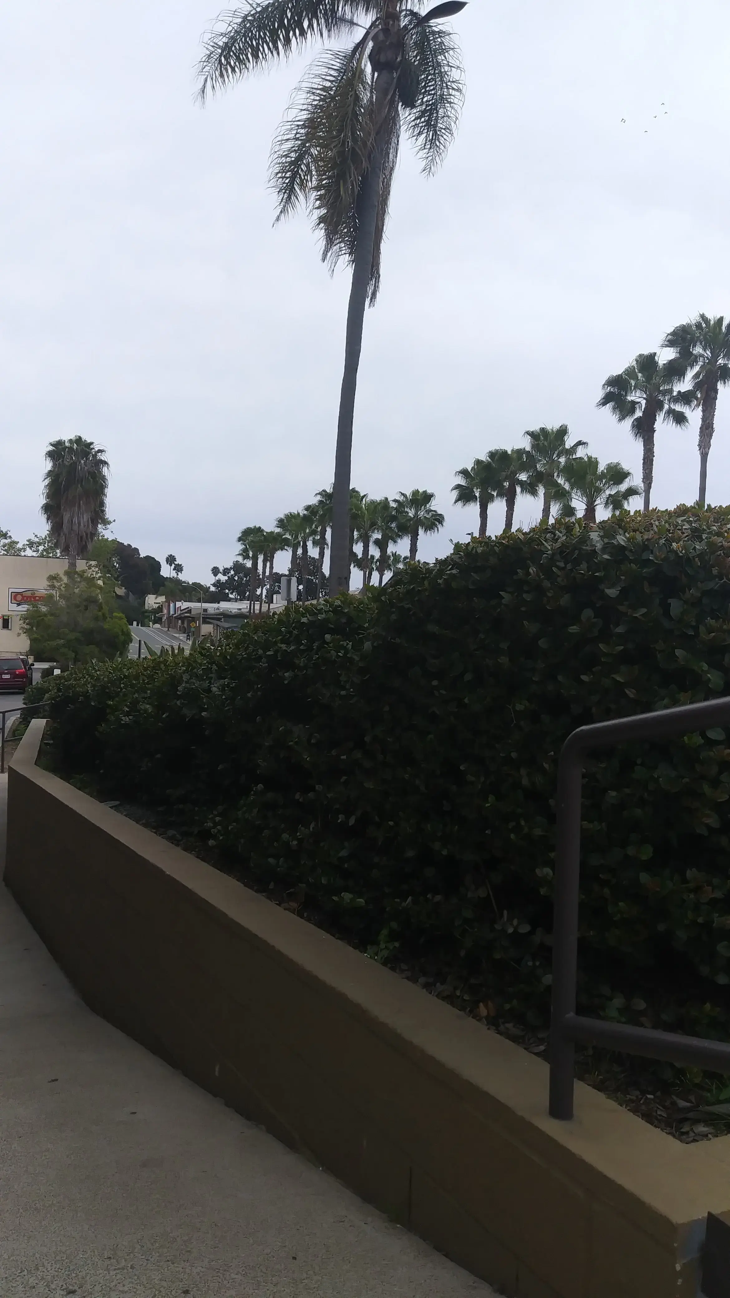 Laundryscape on Voltaire thumbnail 14