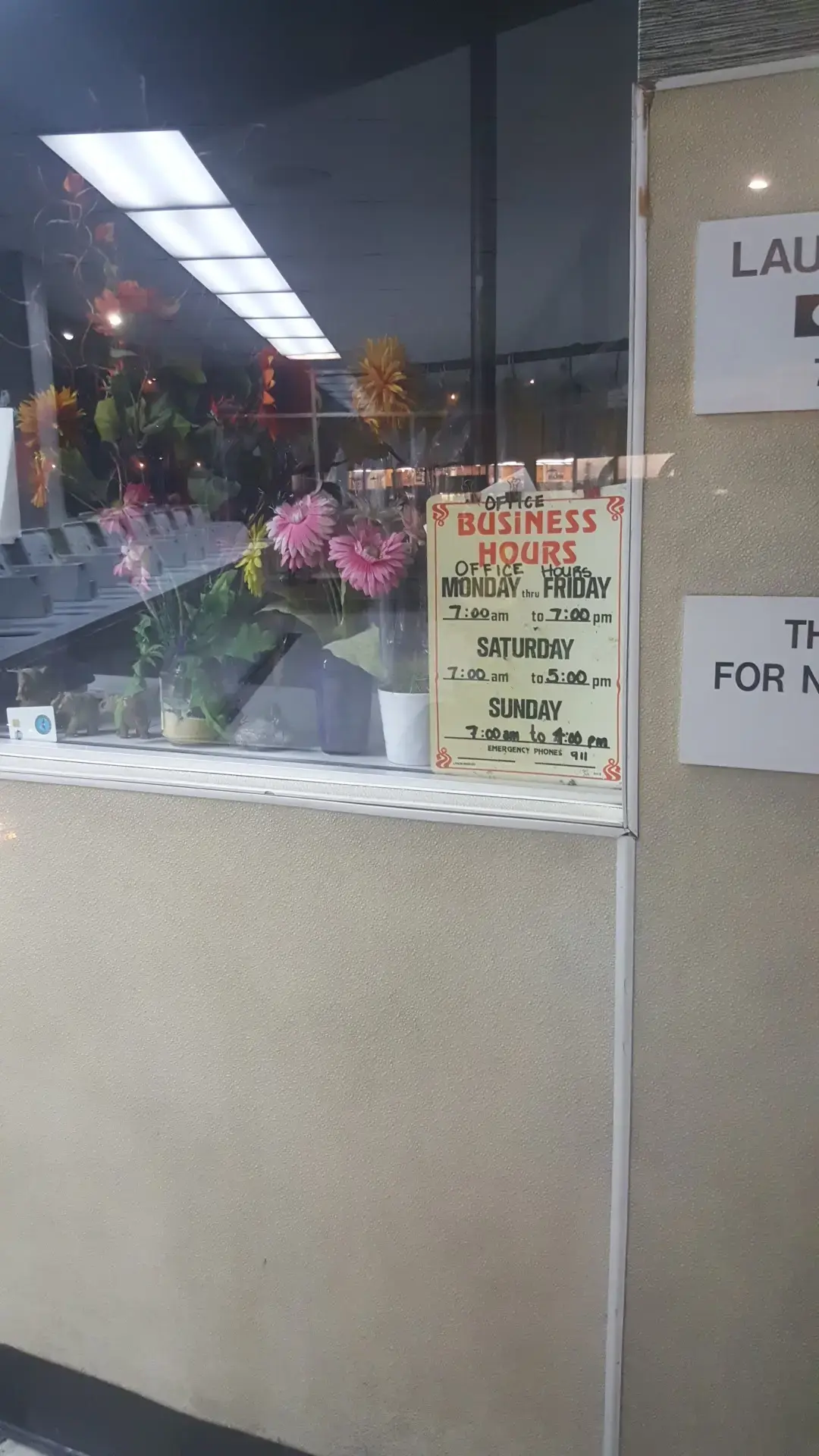 Laundryscape on Voltaire - Image 15