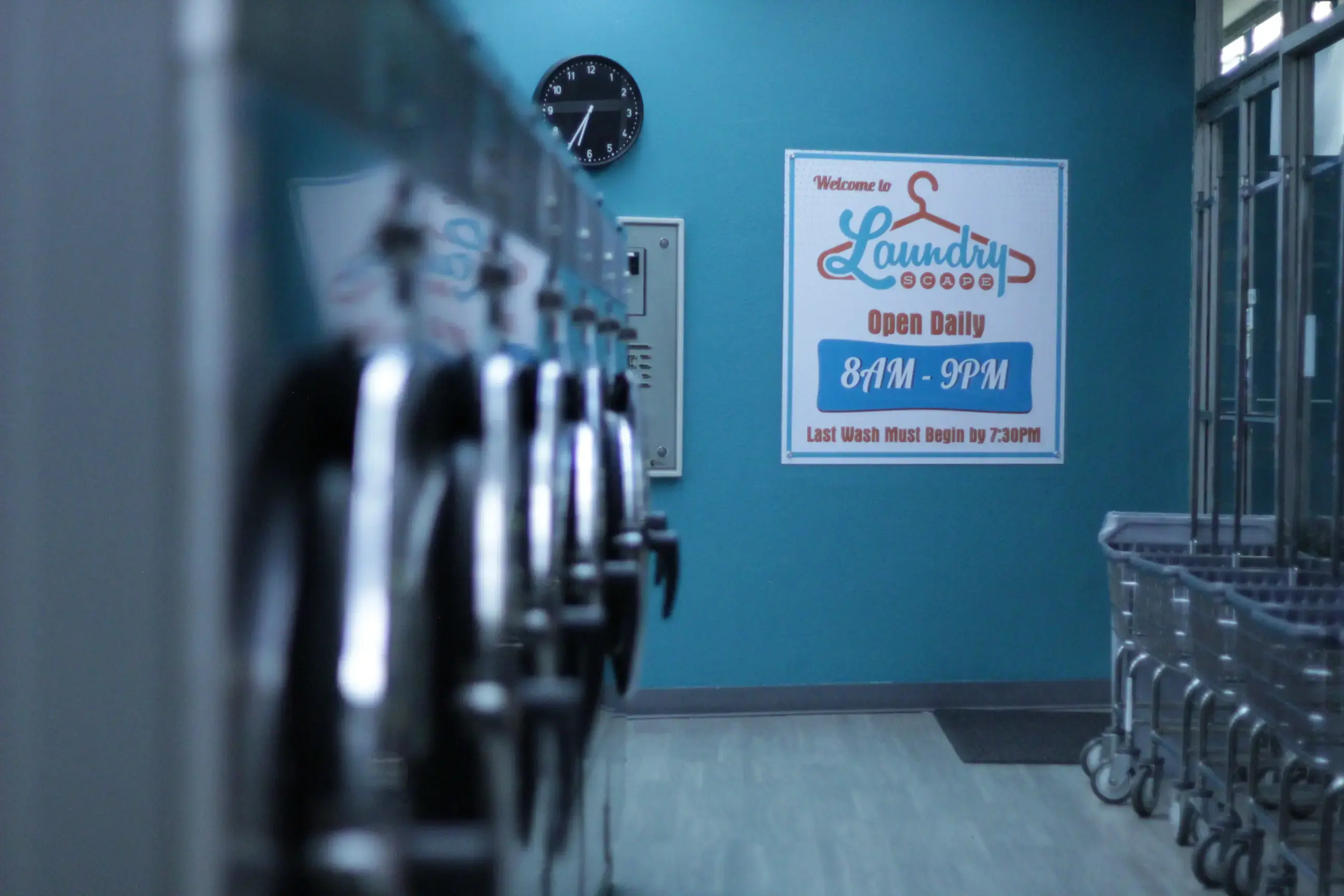 Laundryscape on Voltaire - Image 10