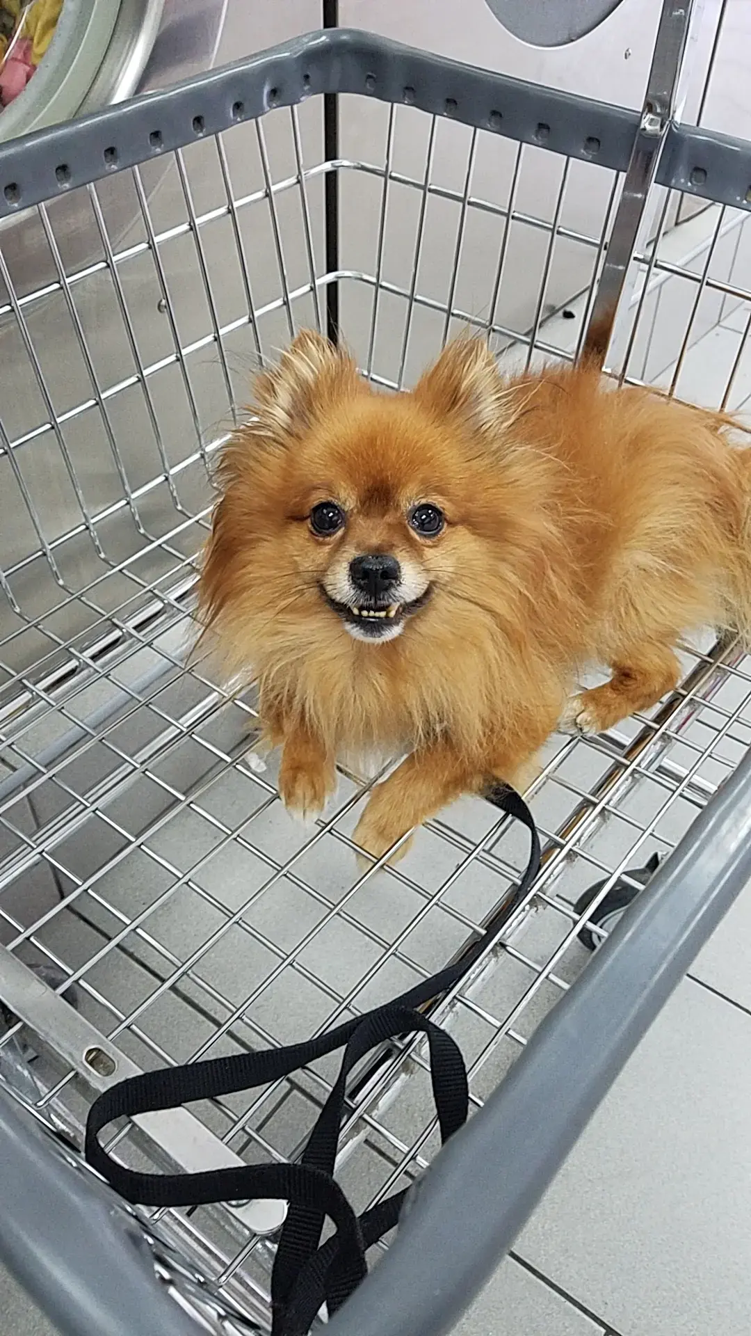 Lav Express Laundry - Image 23