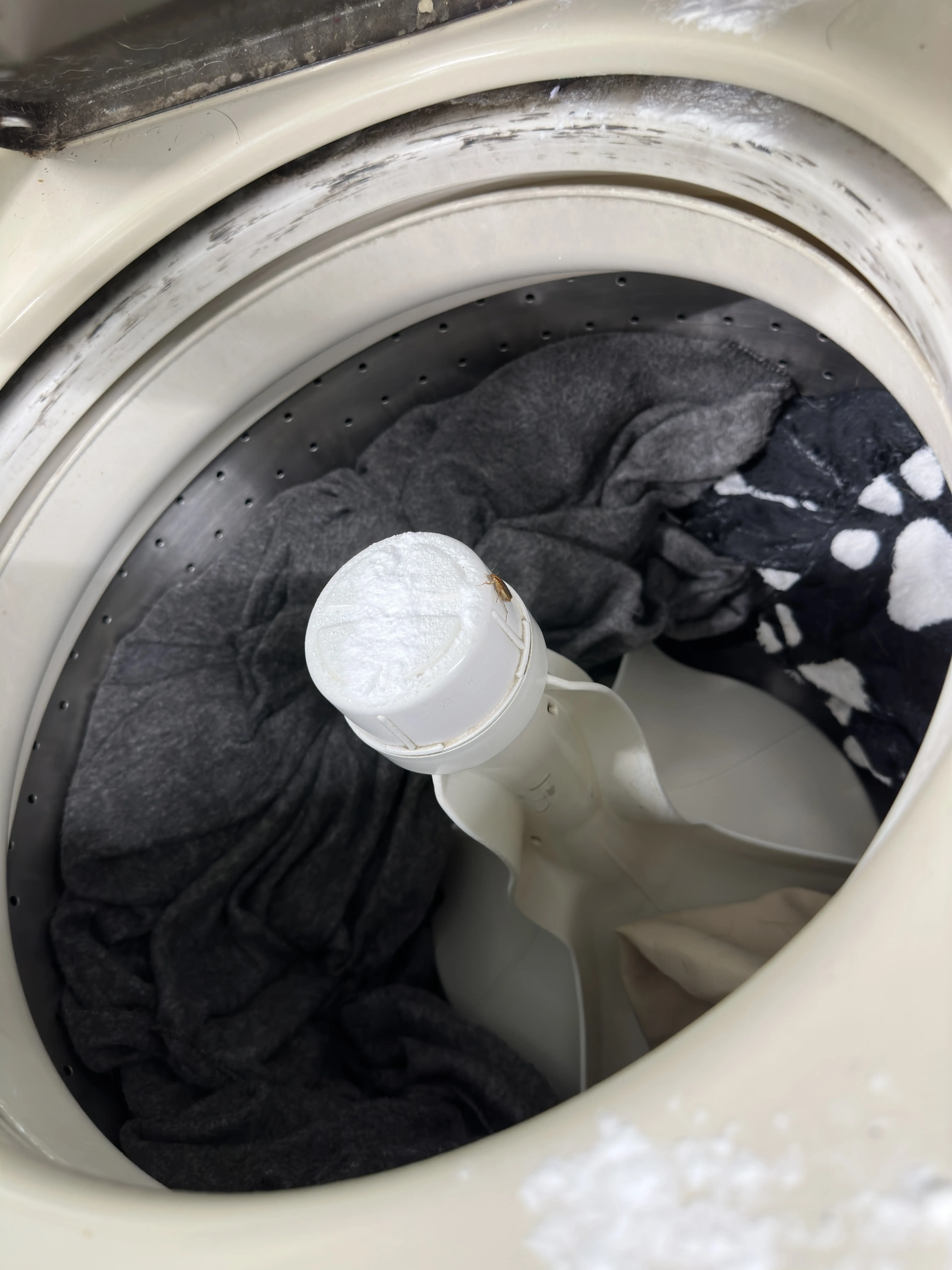 Lava Wash Laundromat(formerly Poly Clean) - Image 5