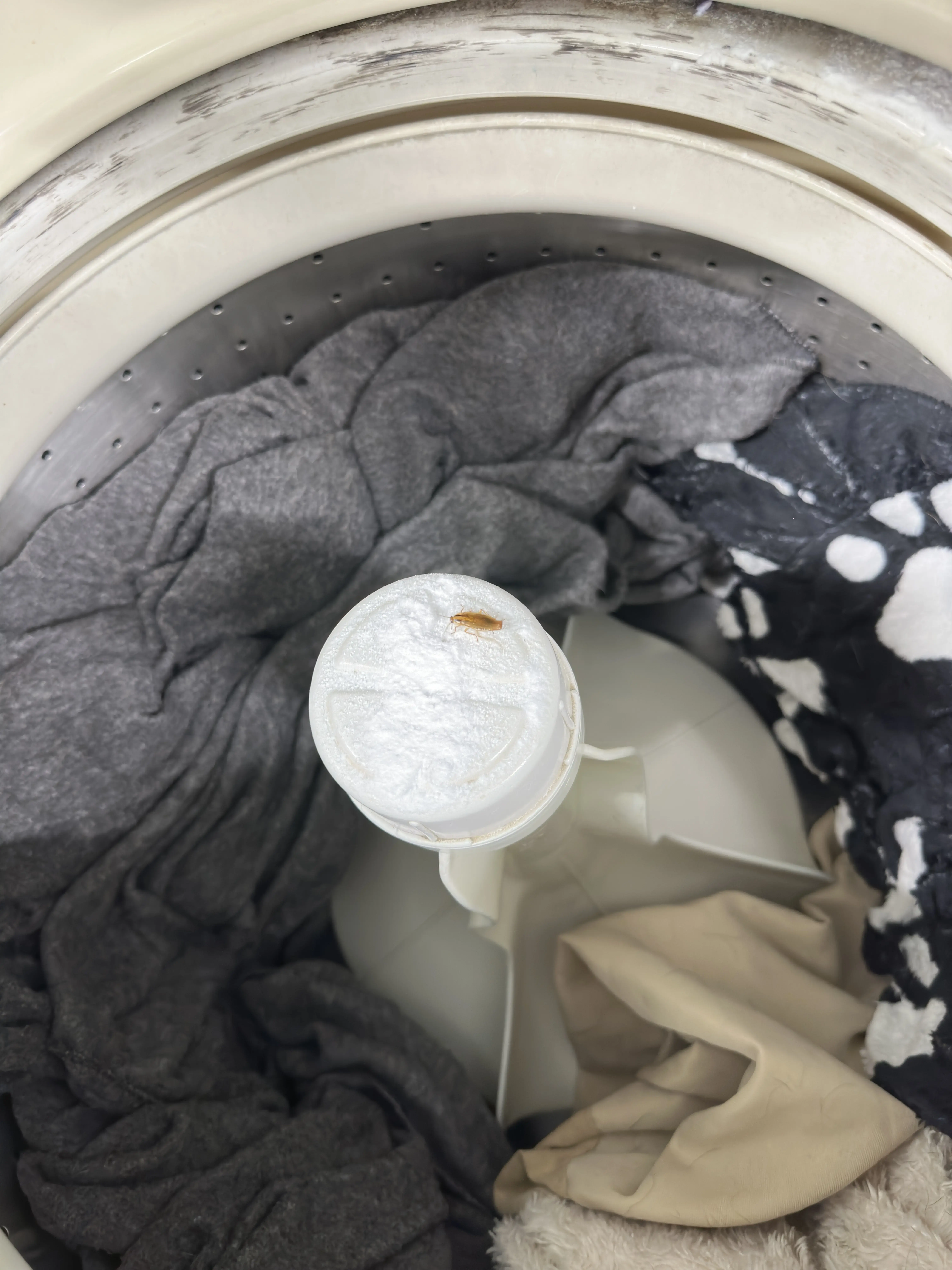 Lava Wash Laundromat(formerly Poly Clean) thumbnail 12
