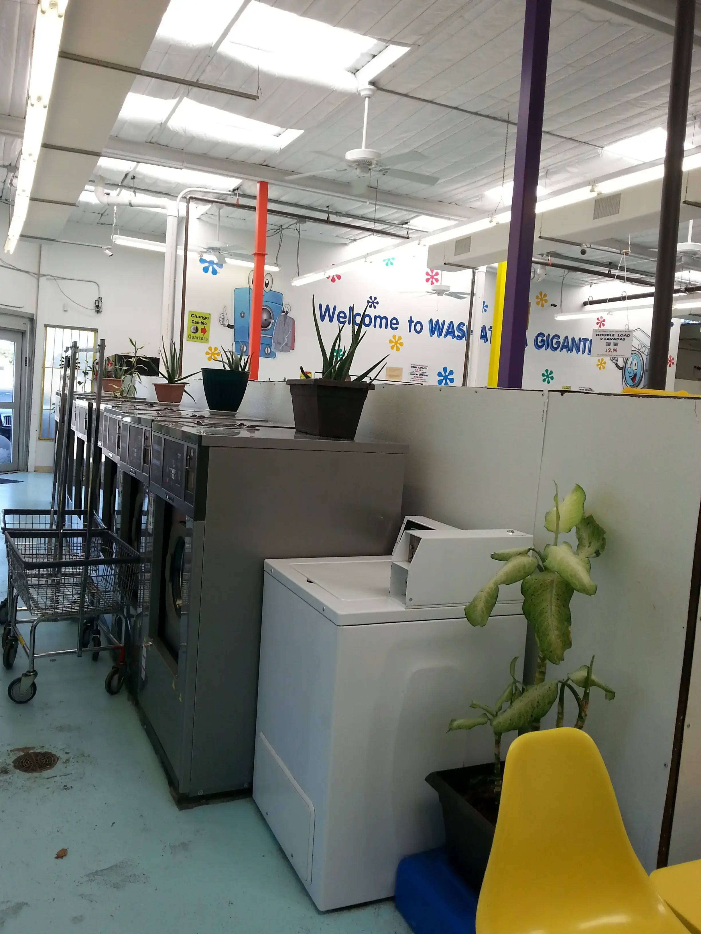 Lavanderia Gigante - Image 18
