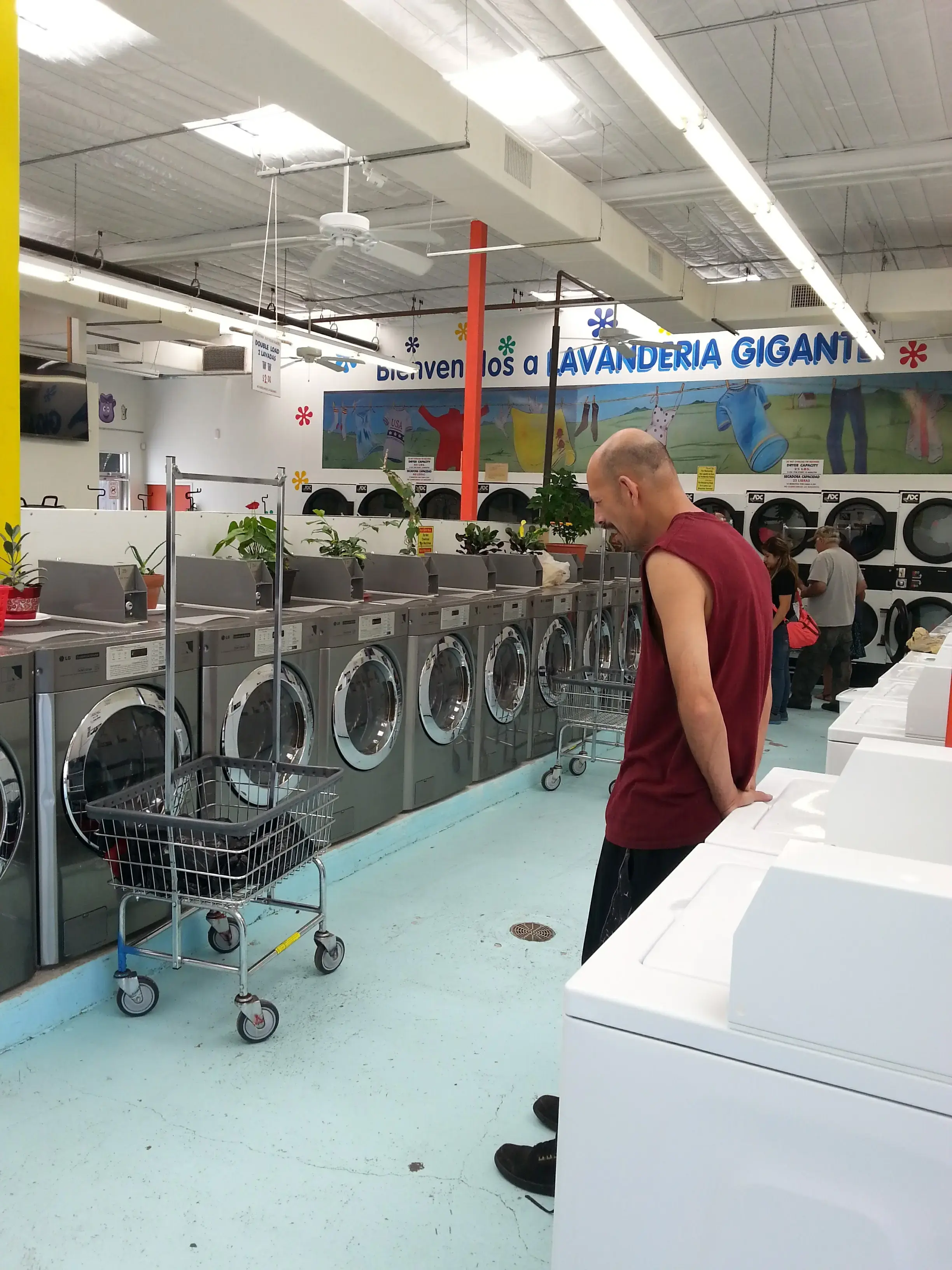 Lavanderia Gigante thumbnail 16