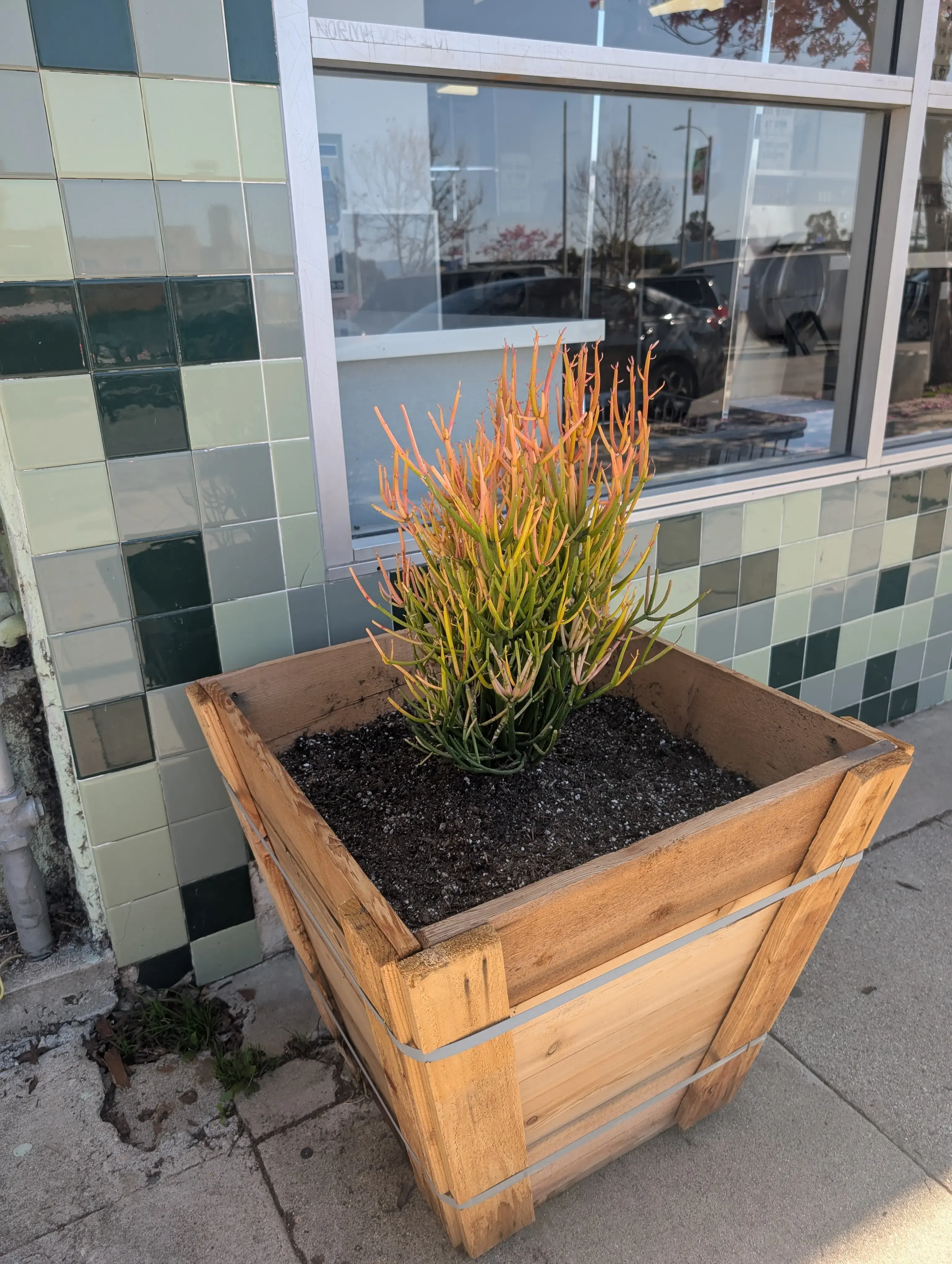 Lavatelas Lavanderia thumbnail 5