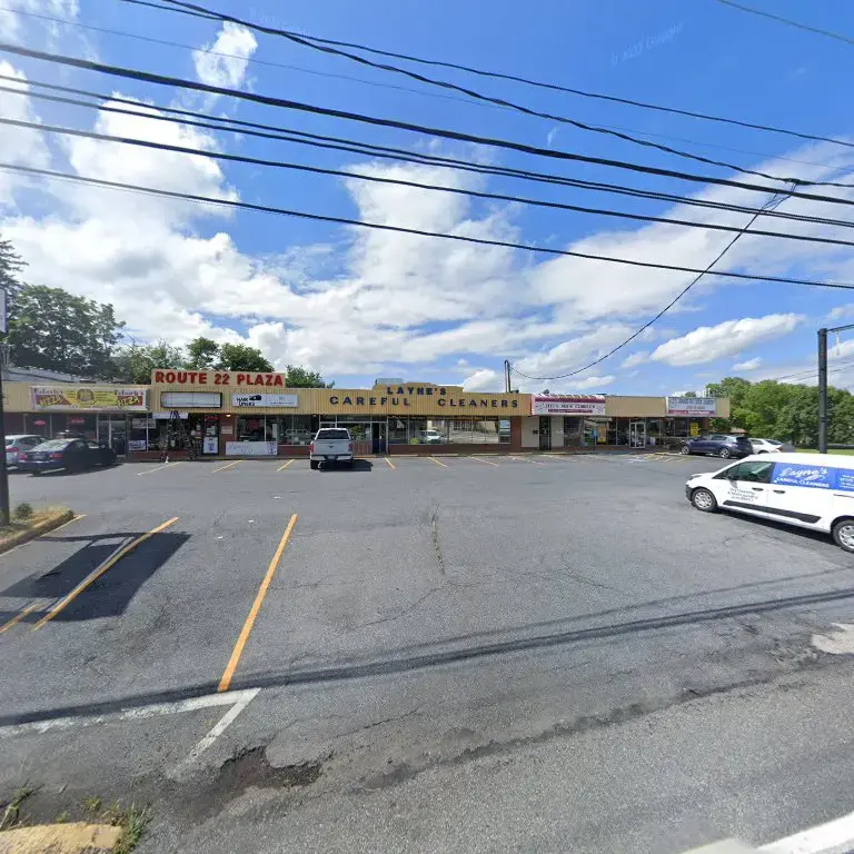Layne's Careful Cleaners - Image 3