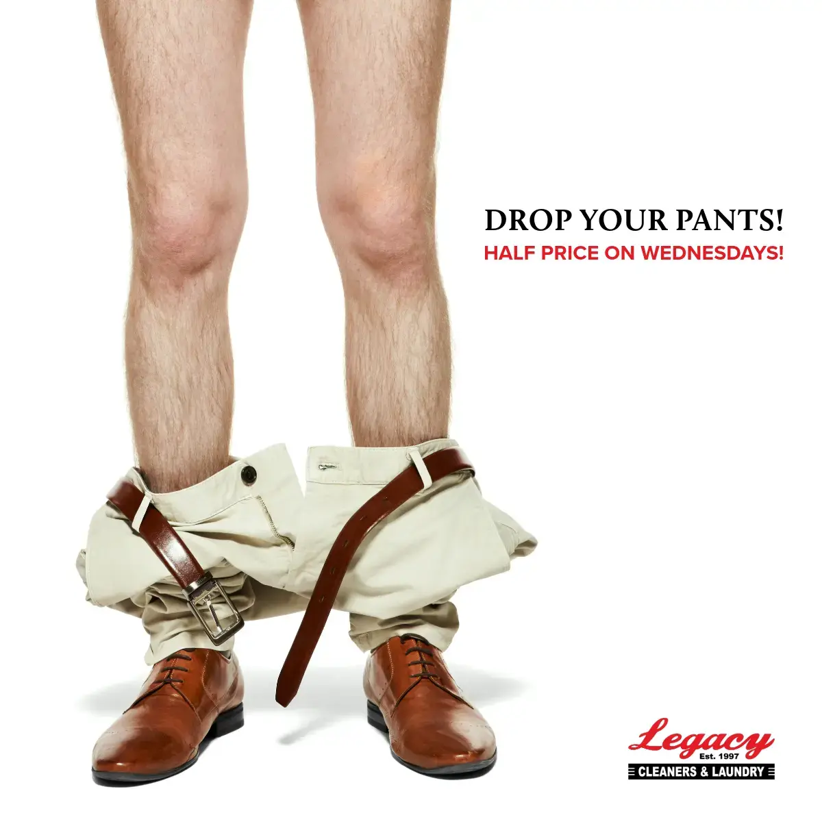 Legacy Cleaners & Laundry thumbnail 9