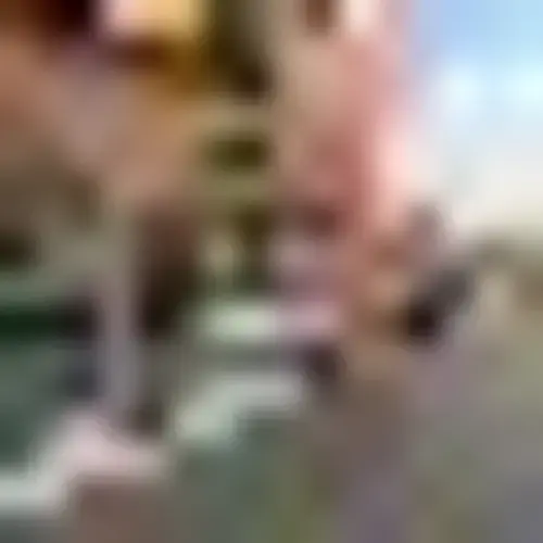 Legendary Laundry - Gardner Laundromat thumbnail 8