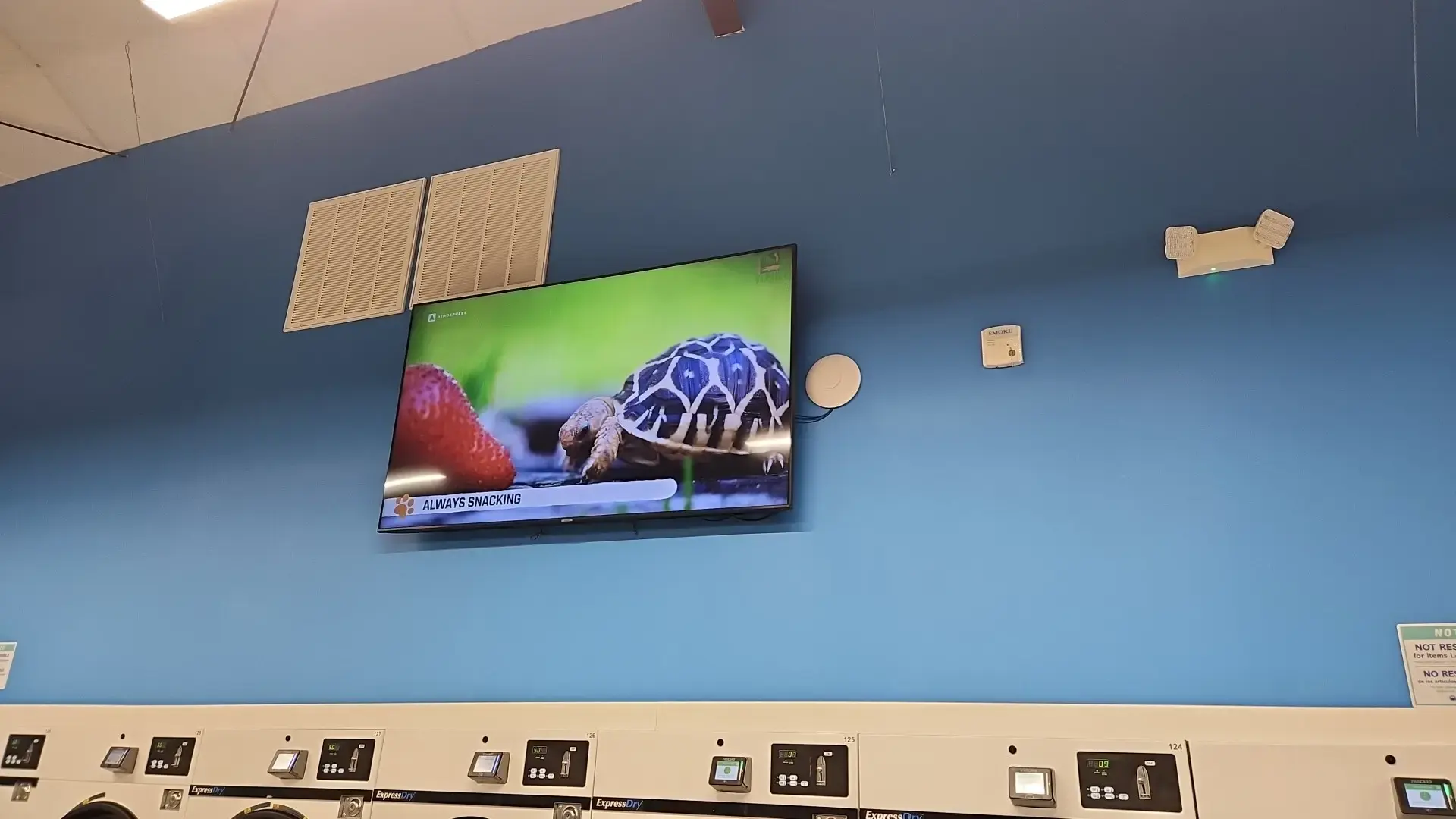 Legion Express Laundromat - Image 12