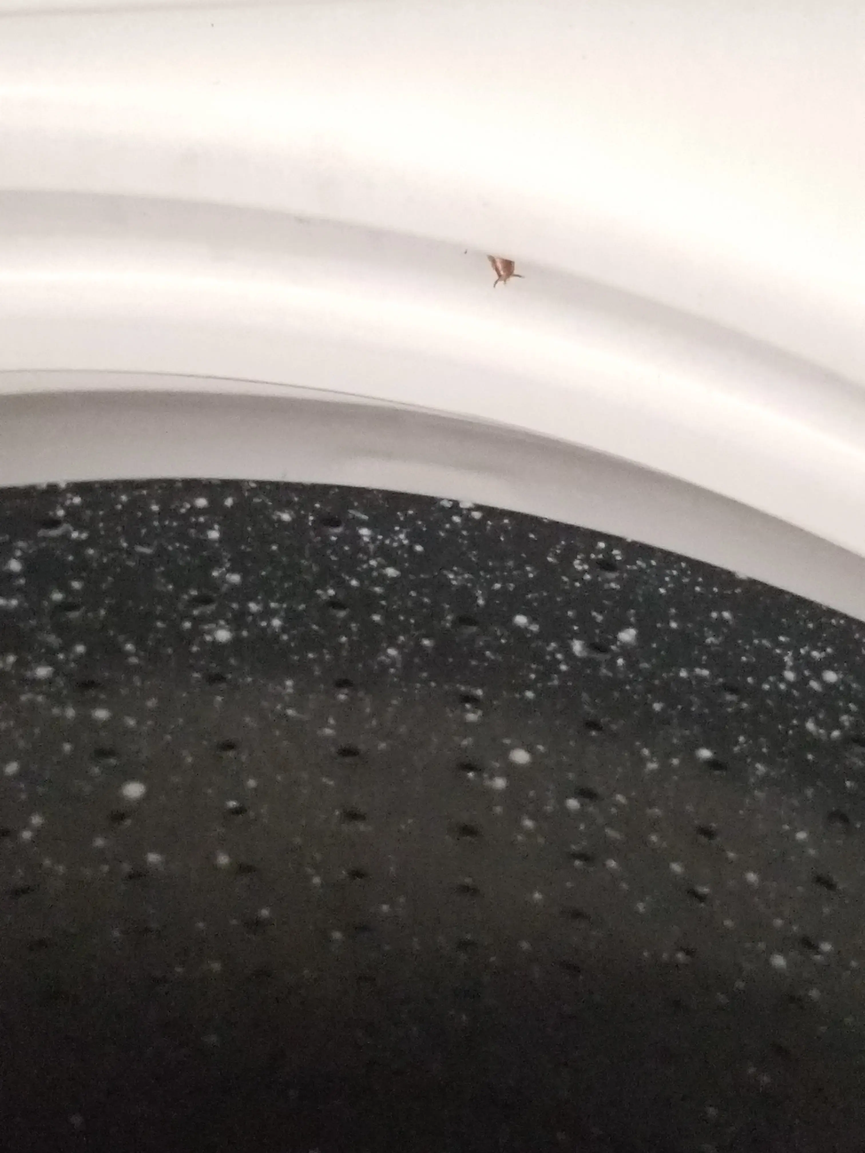 Leisure Way Laundry thumbnail 8