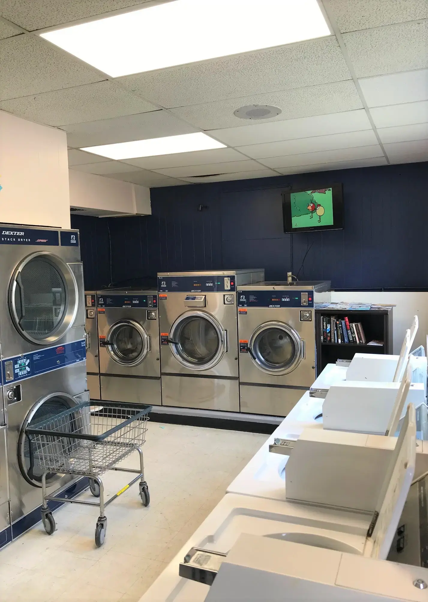 Lemon Drop Laundry Delivery/ Lemon Launderette thumbnail 20