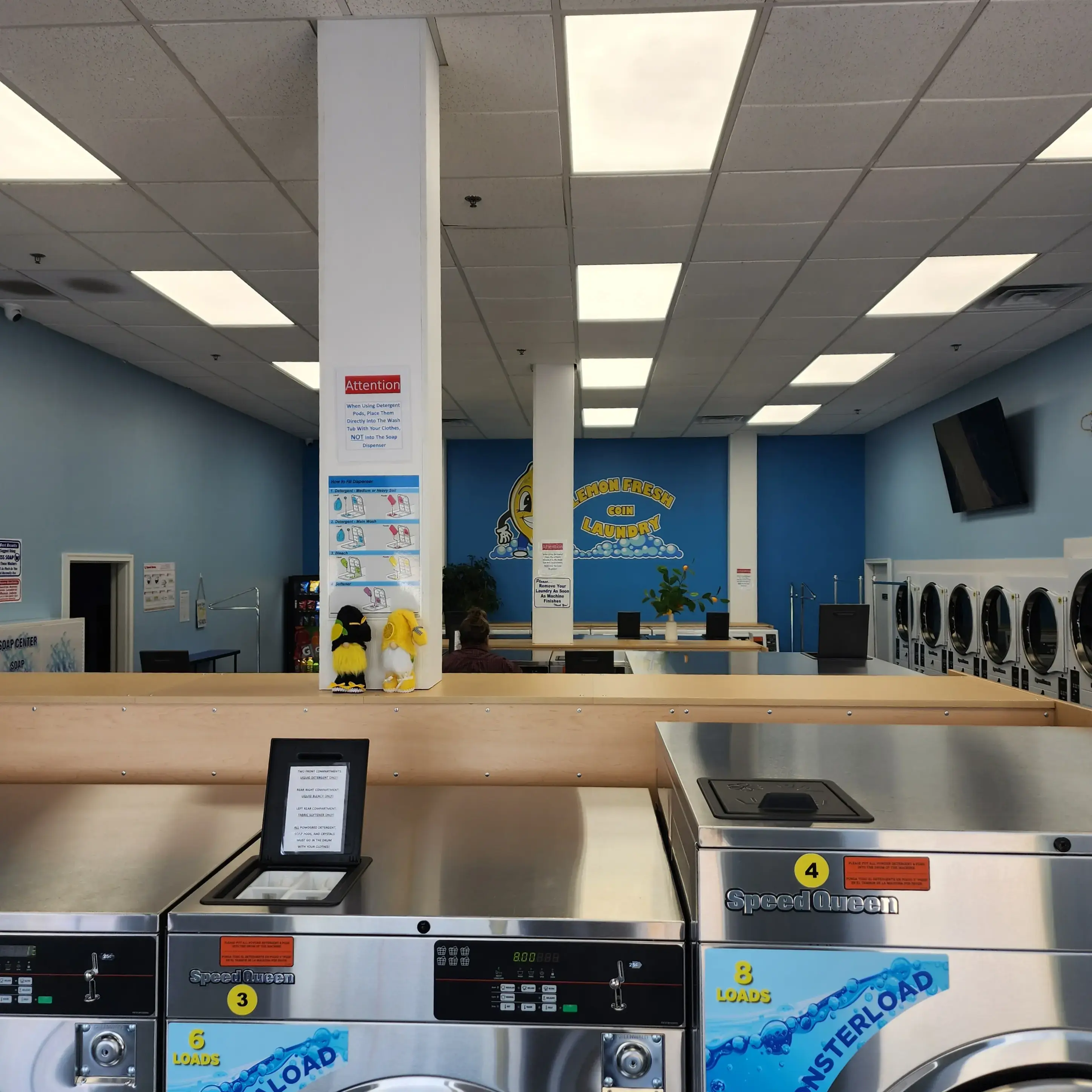 Lemon Fresh Coin Laundry - Image 13