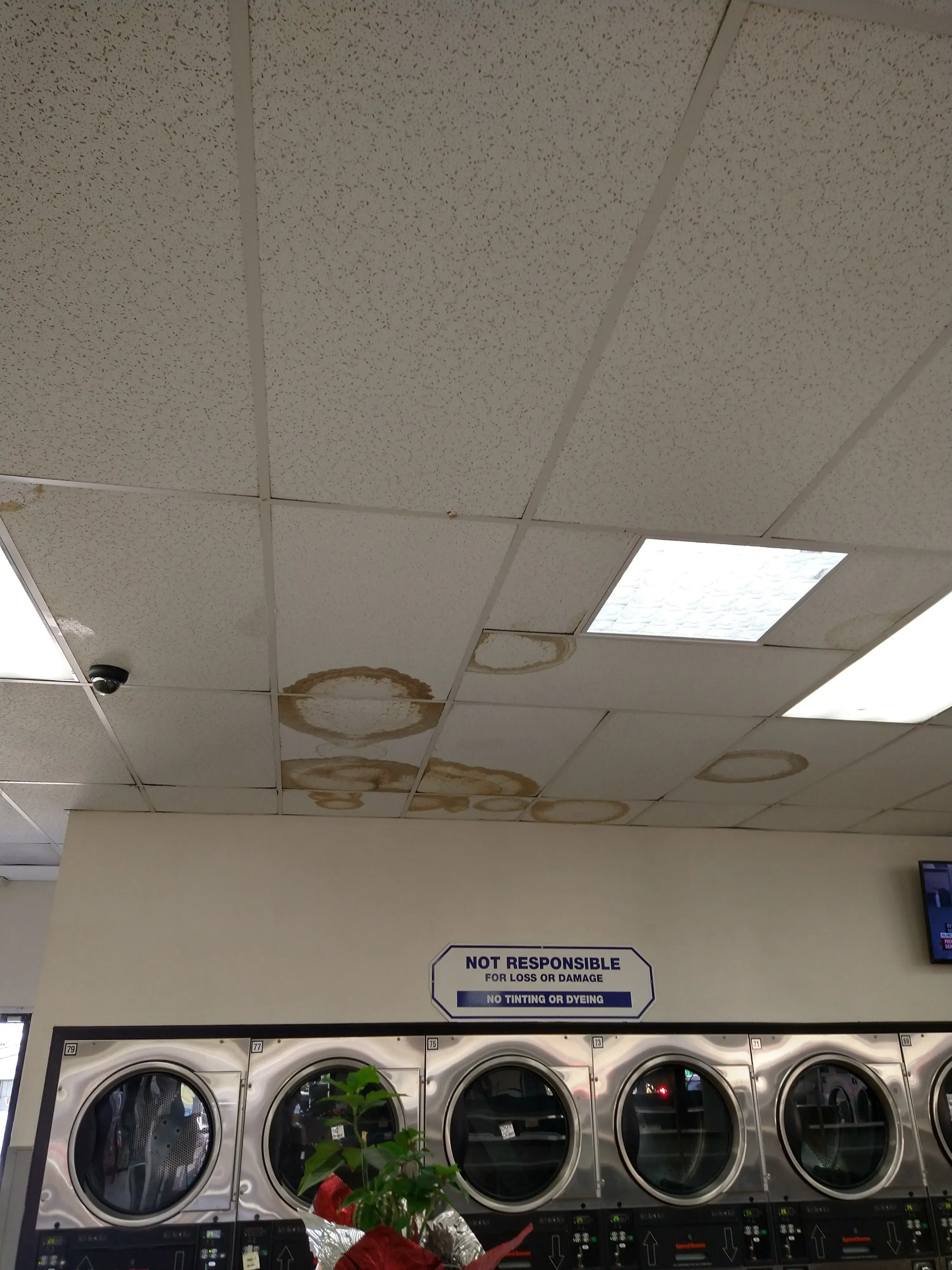 Lemon Grove Coin Laundry - Image 13