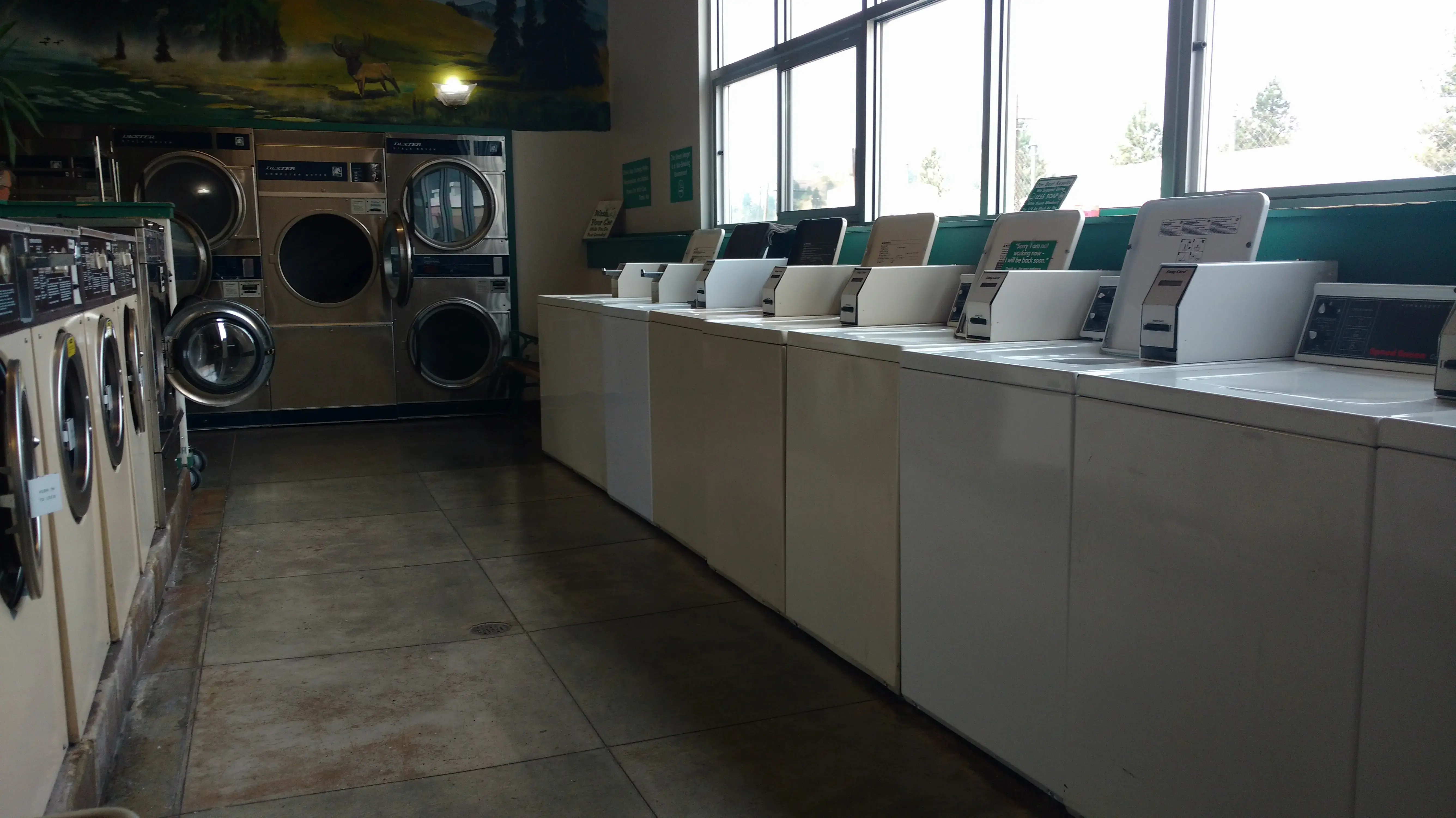 Lemon Laundry and Car Wash thumbnail 14