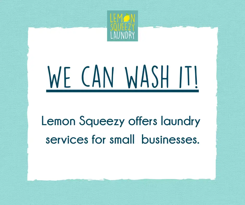 Lemon Squeezy Laundry Service - Image 11