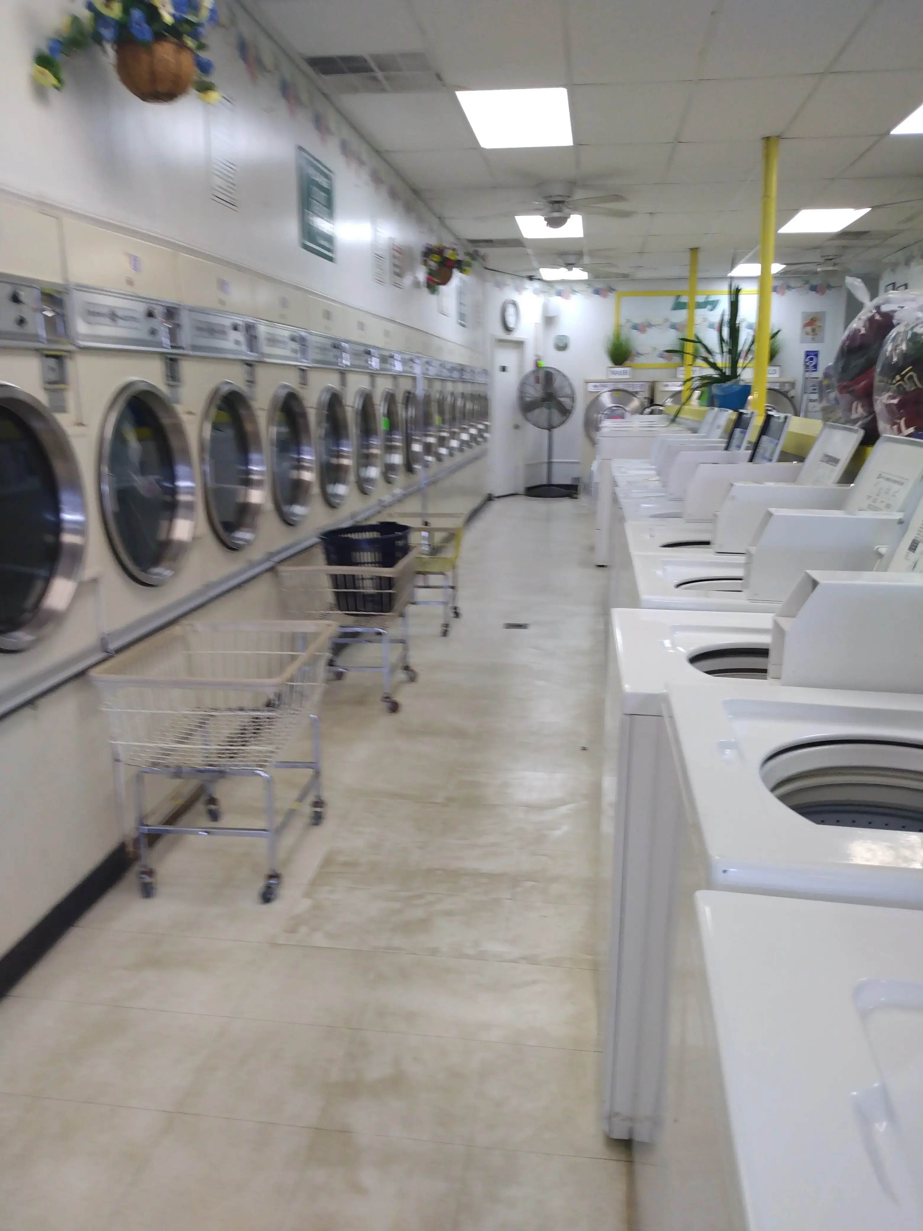 Leo's Laundry location