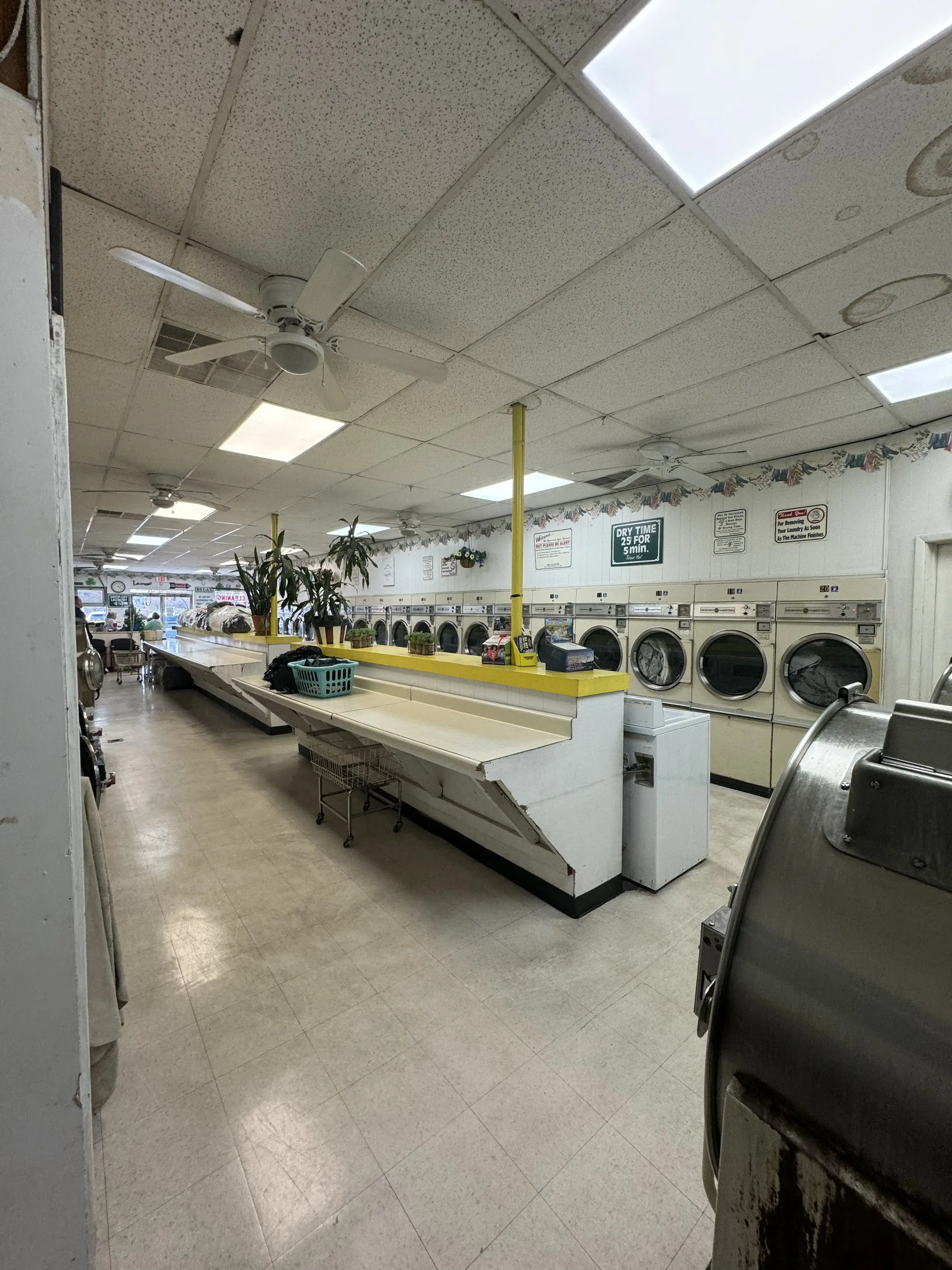 Leo's Laundry thumbnail 4