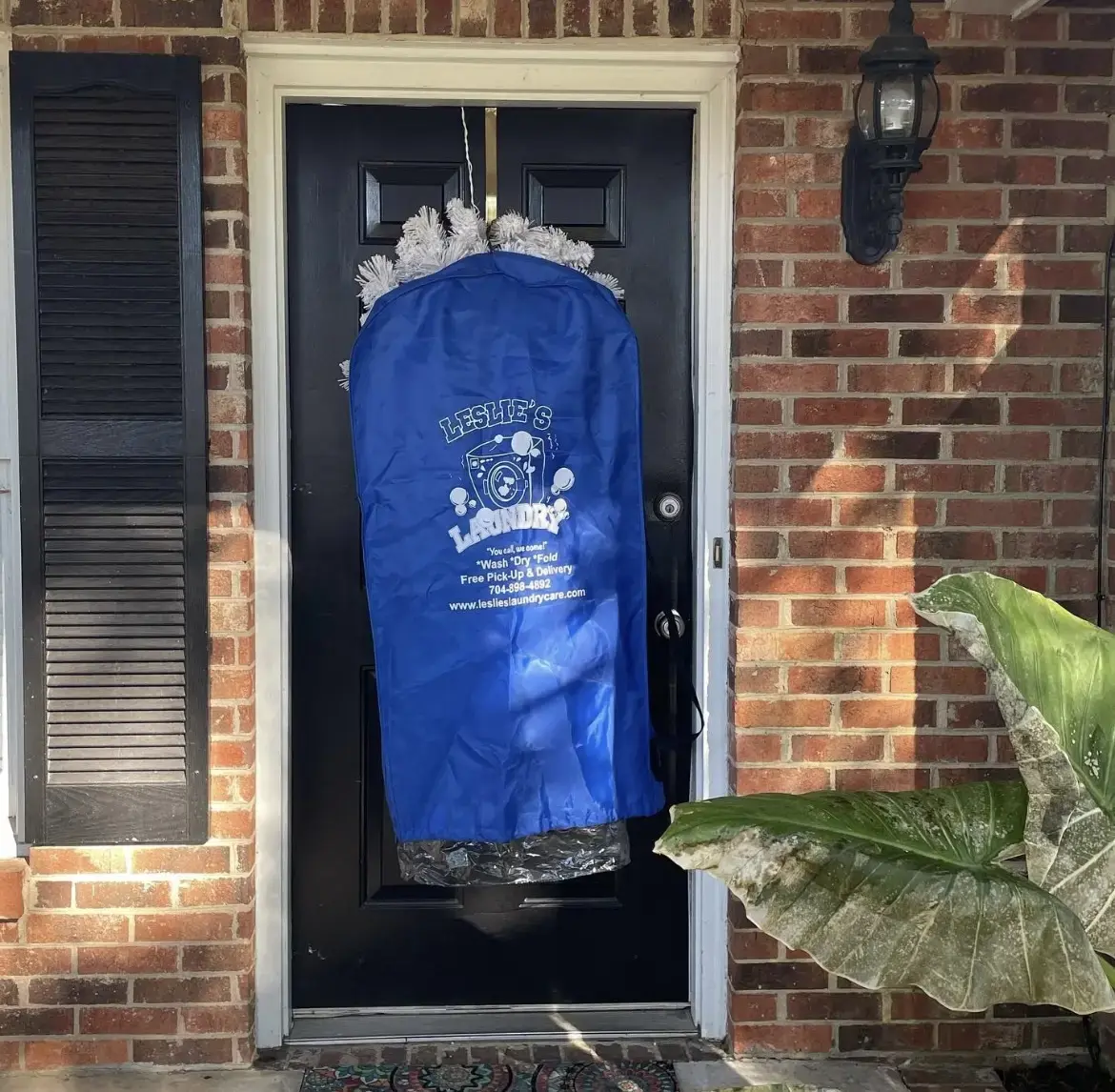 Leslie's Laundry Care thumbnail 11