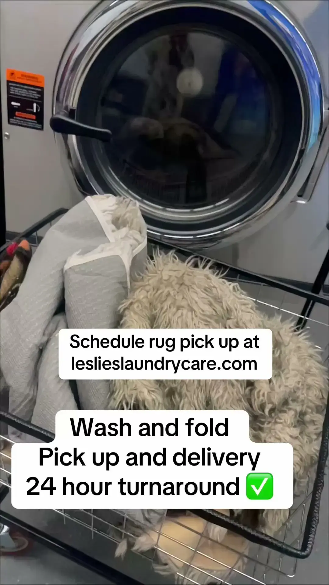 Leslie's Laundry Care thumbnail 8