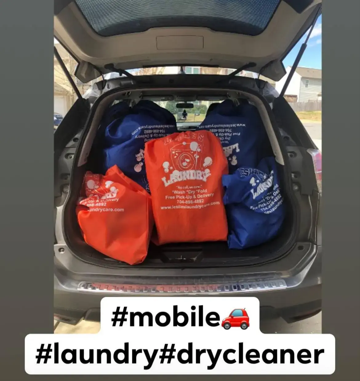 Leslie's Laundry Care - Image 5