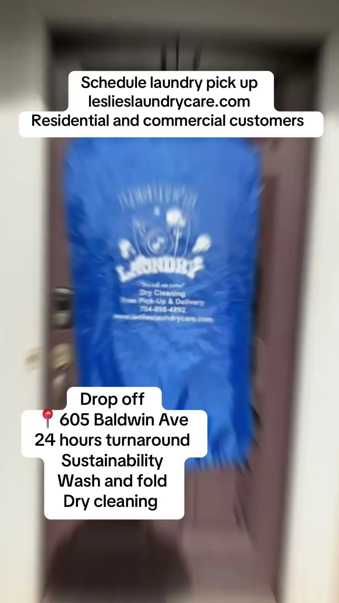 Leslie's Laundry Care thumbnail 2